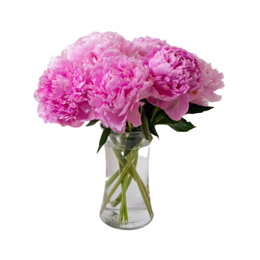 Perfect Peony - Occasions > Anniversary