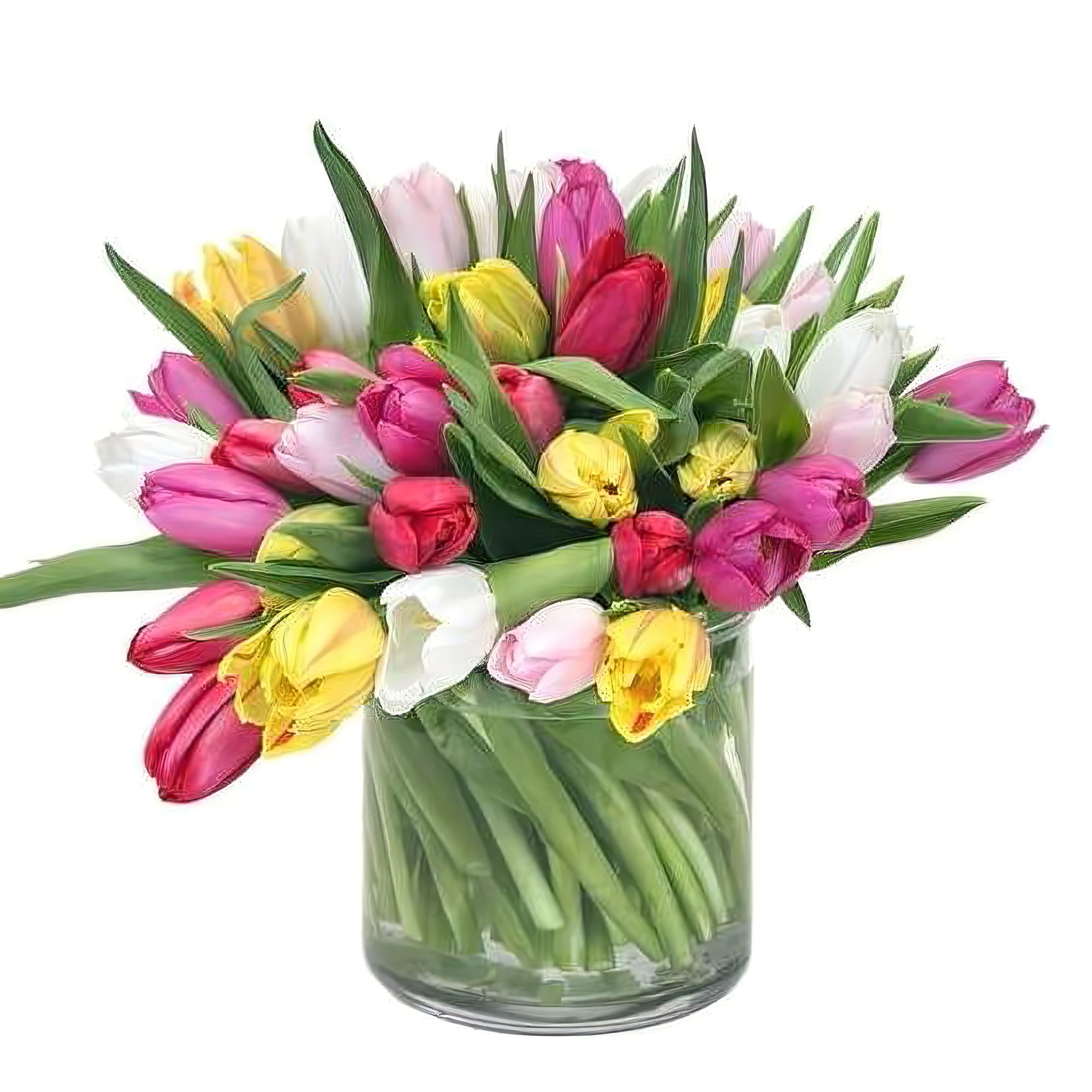 Wonderful Tulips - Birthdays