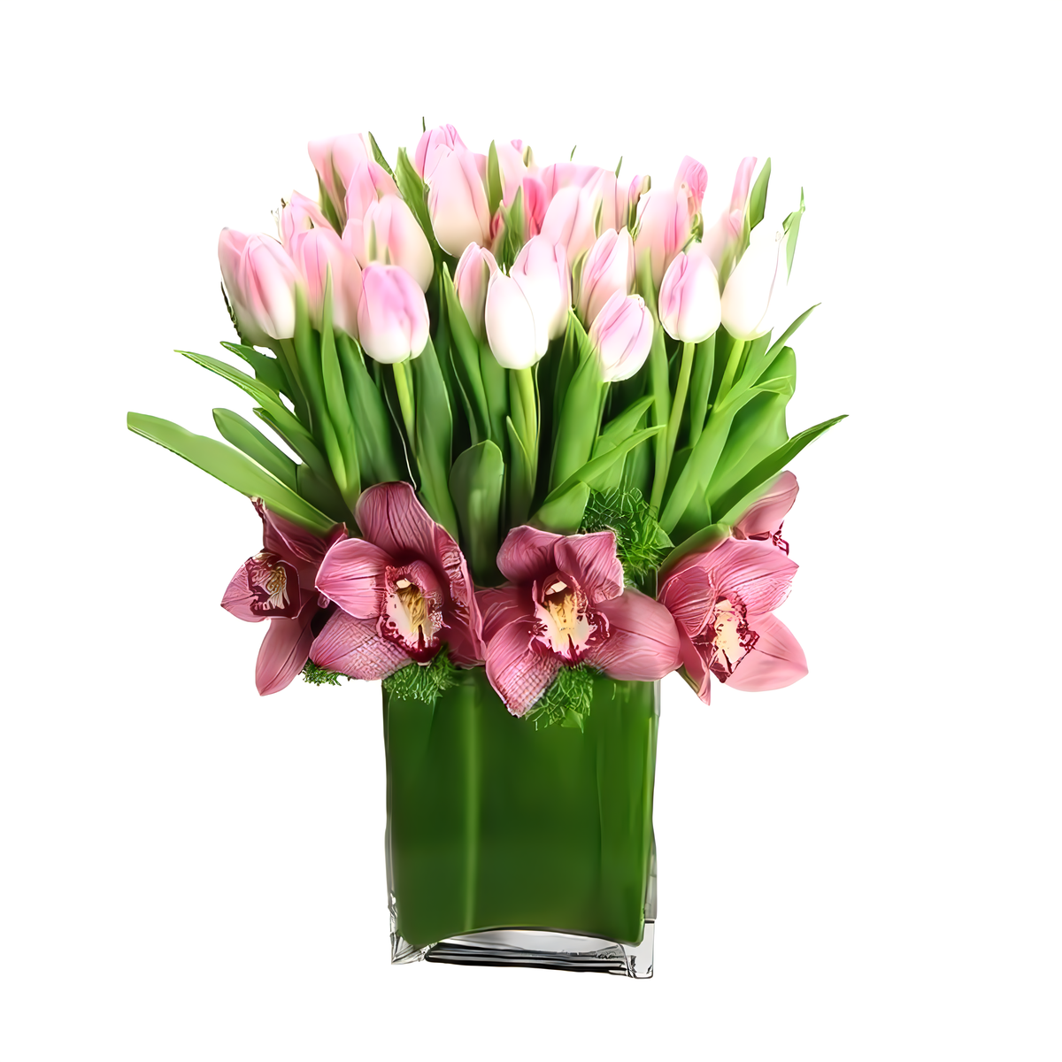 Tulip Modern Wonderful - Birthdays