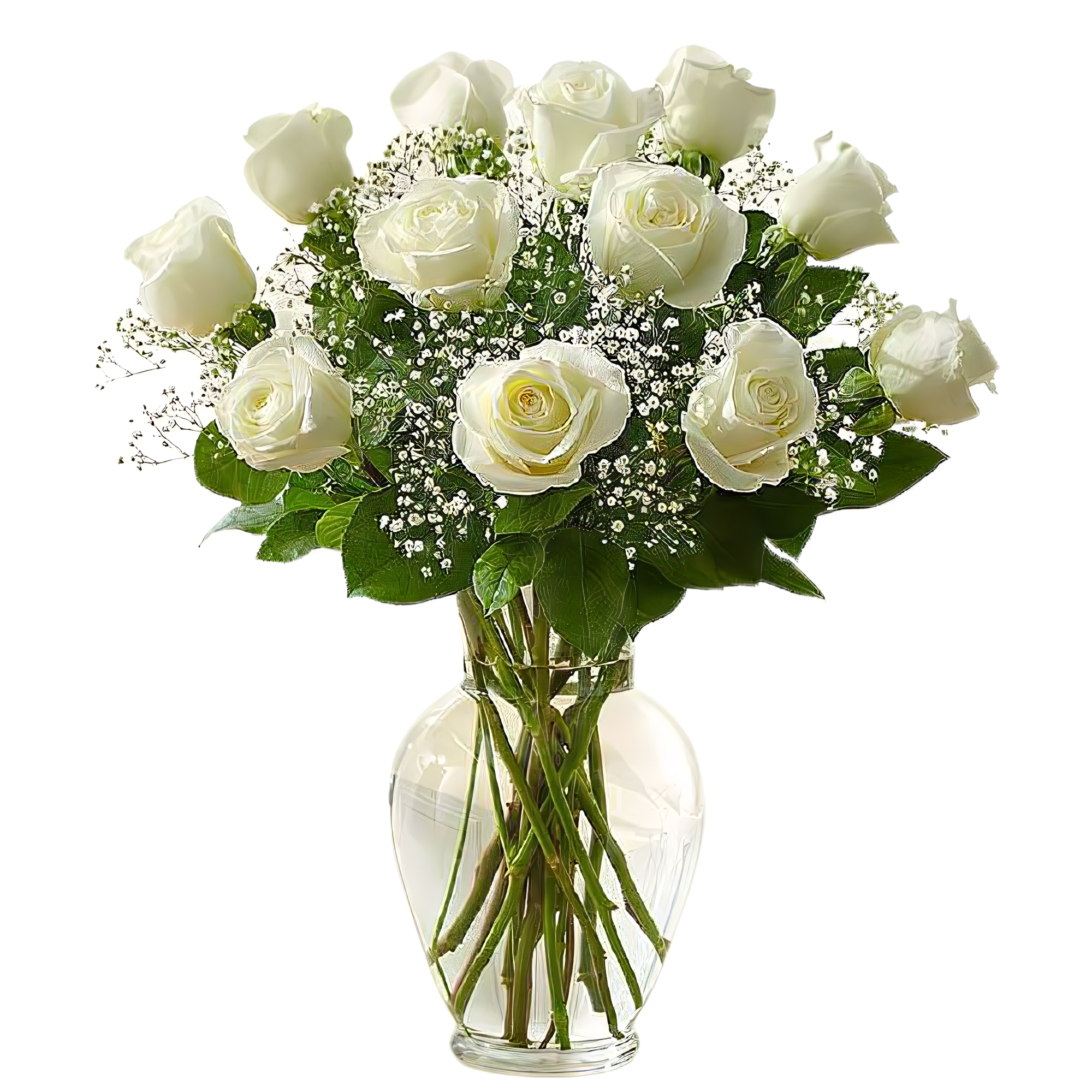 Premium Long Stem White Rose - Holiday Collection