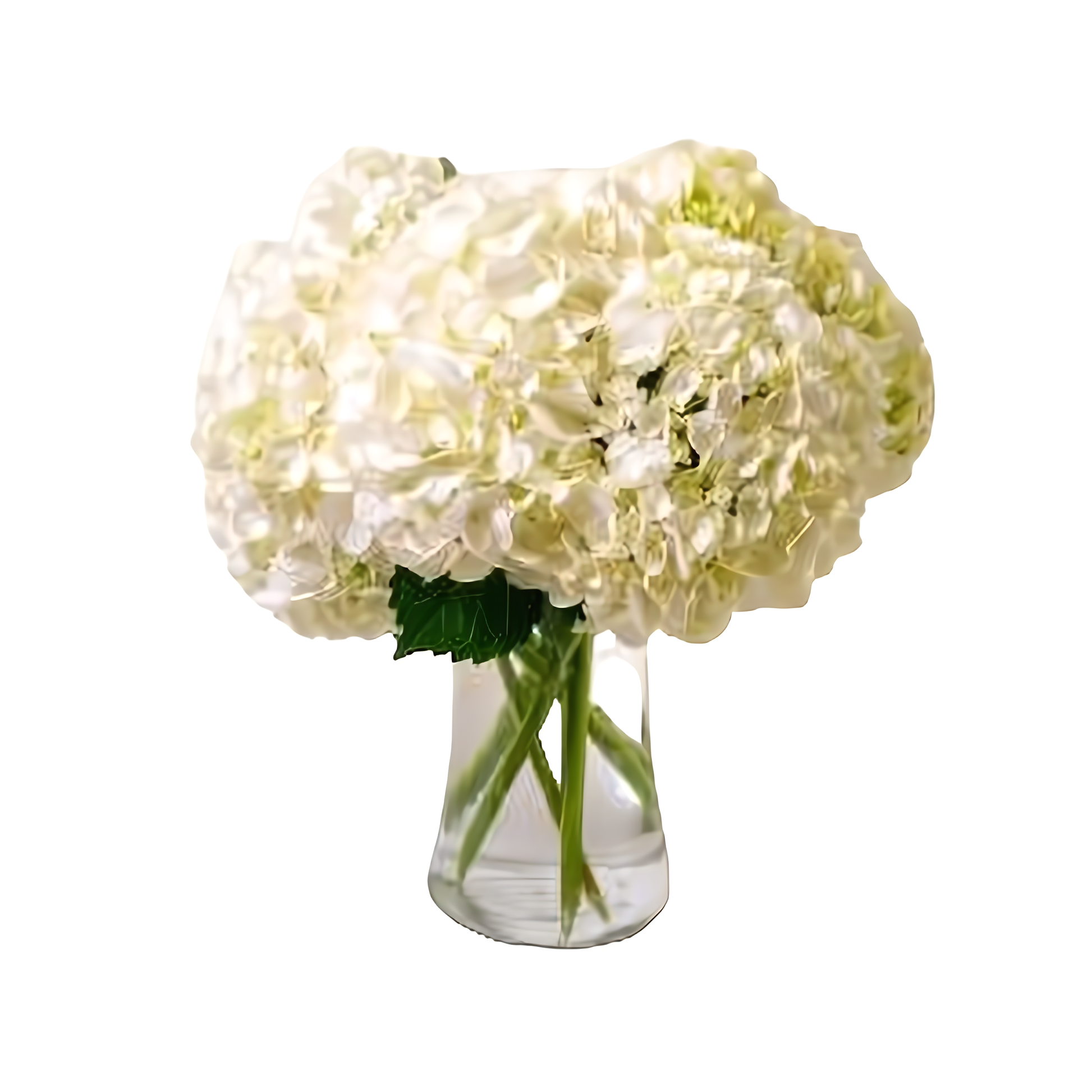 Fluffy Hydrangea Bouquet - Occasions > Anniversary