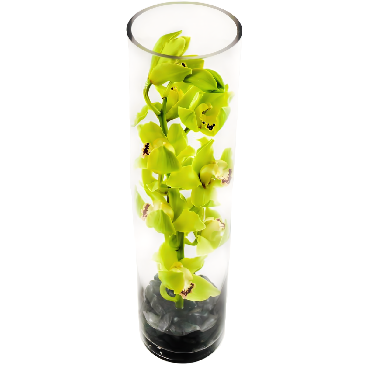 Green Cymbidium Orchid Tower - Occasions &gt; Anniversary