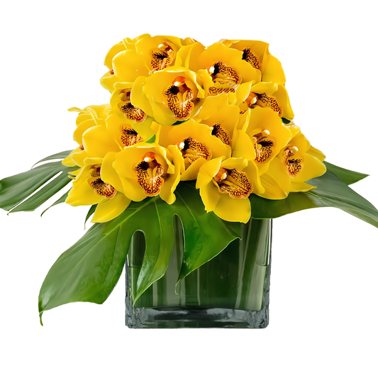 Fancy Yellow Cymbidium Orchid Cube - Occasions > Anniversary