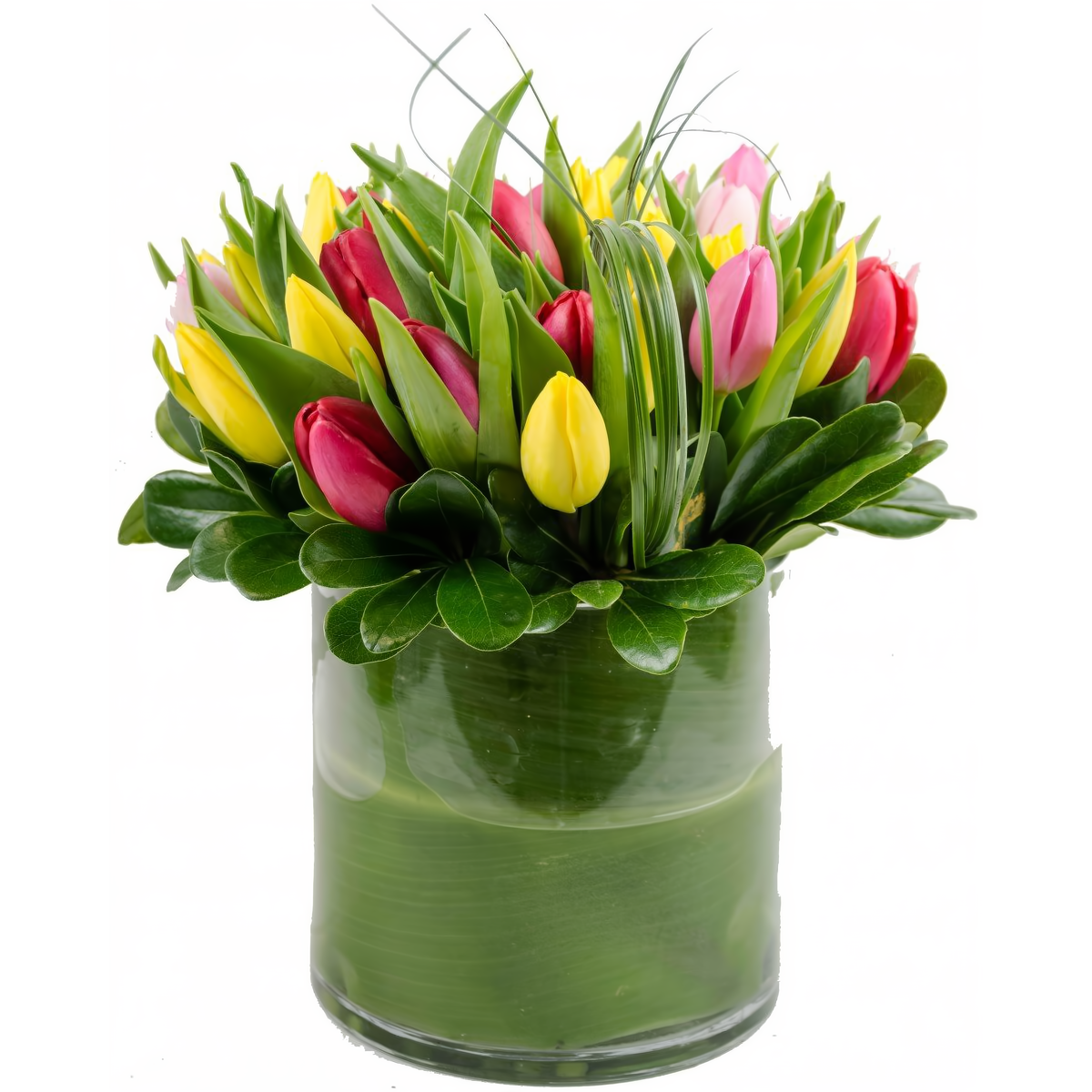 Colorful Tulip Cylinder - Occasions &gt; Anniversary