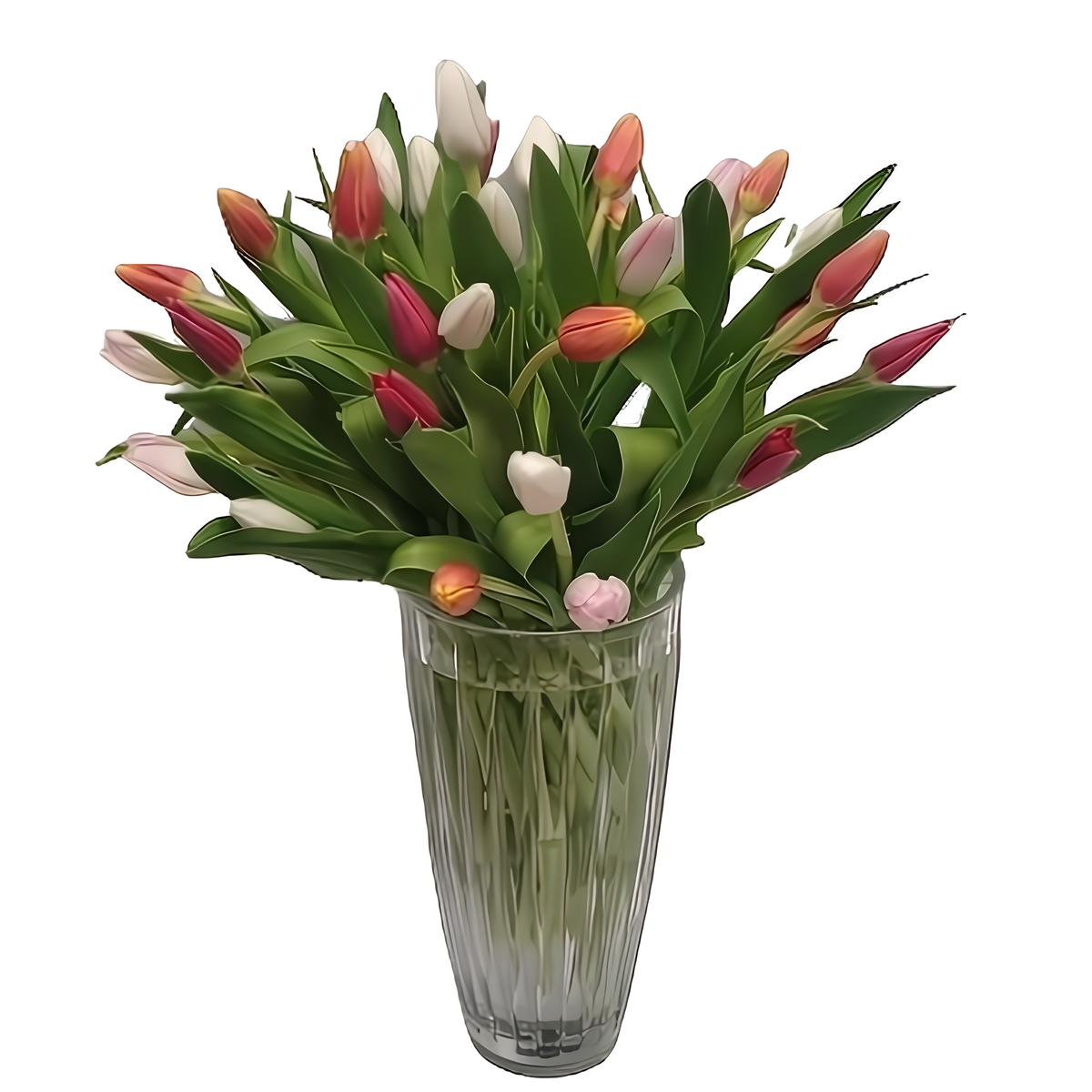 Crystal Tulip Splendor - Occasions &gt; Anniversary
