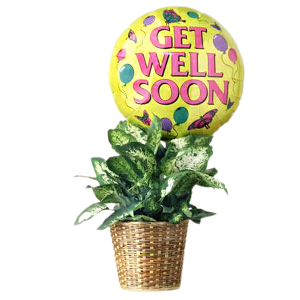Get Well Green Plant with Balloon - Occasions &gt; Get Well