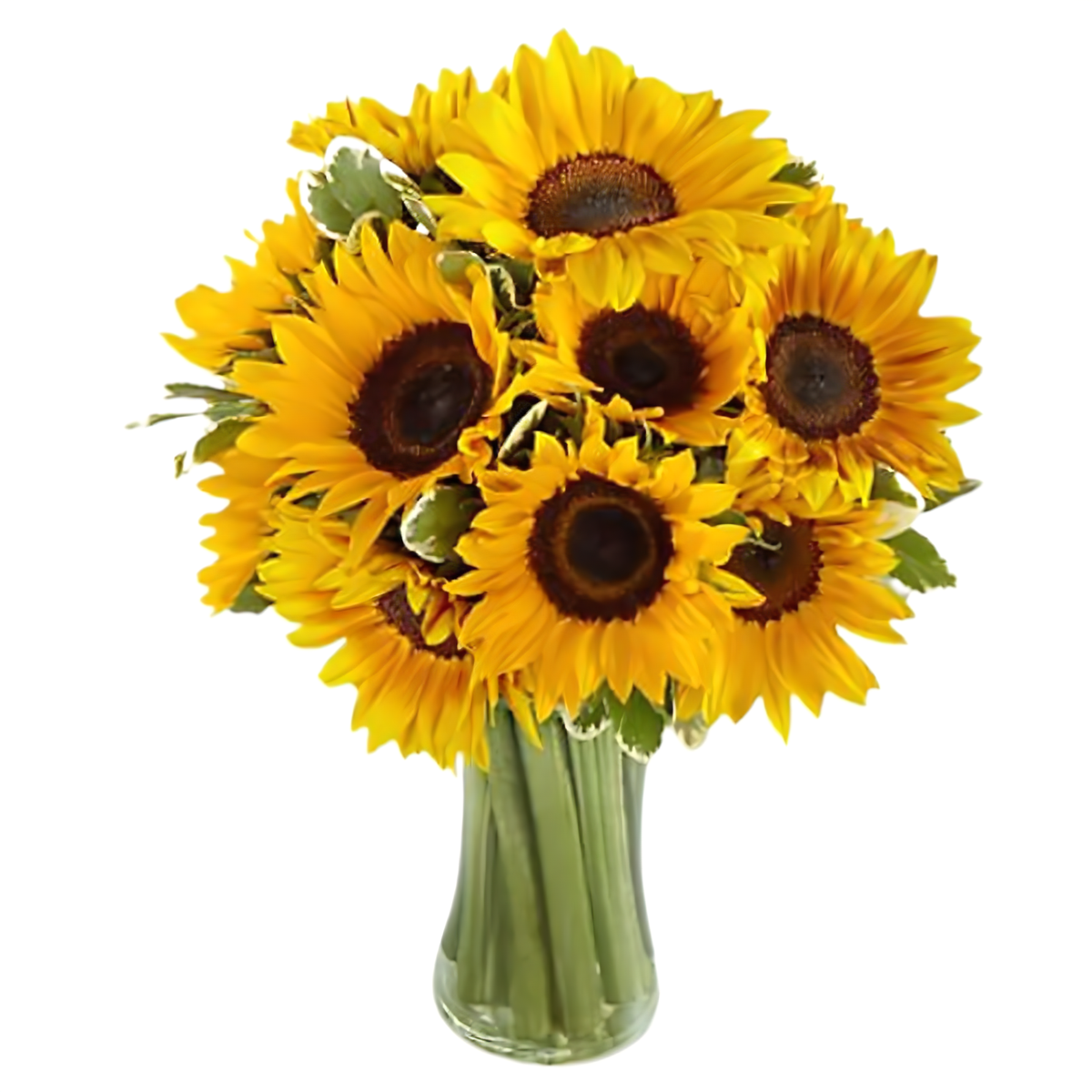 Bright Sunflower Bouquet - Occasions &gt; Get Well