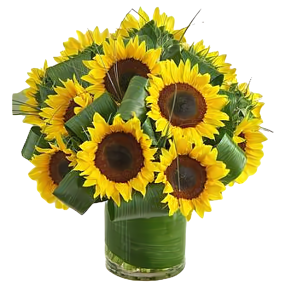 Sun-Sational Sunflowers - Products &gt; Corporate Gifts