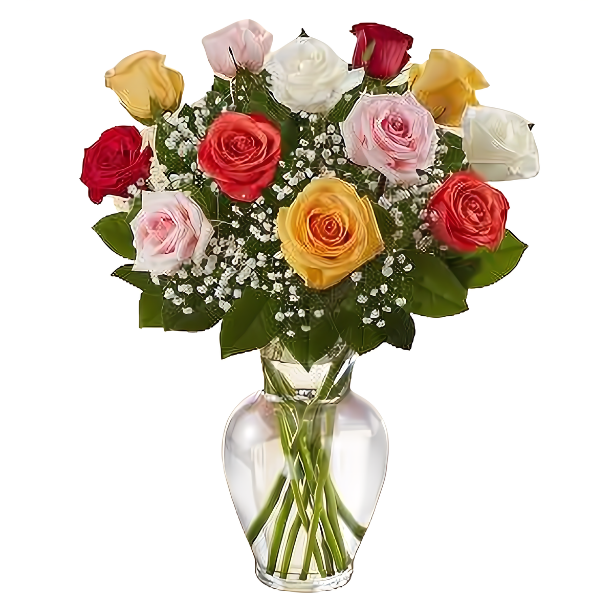 Premium Long Stem Assorted Roses - Roses