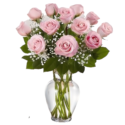 Premium Long Stem Pink Roses - Roses