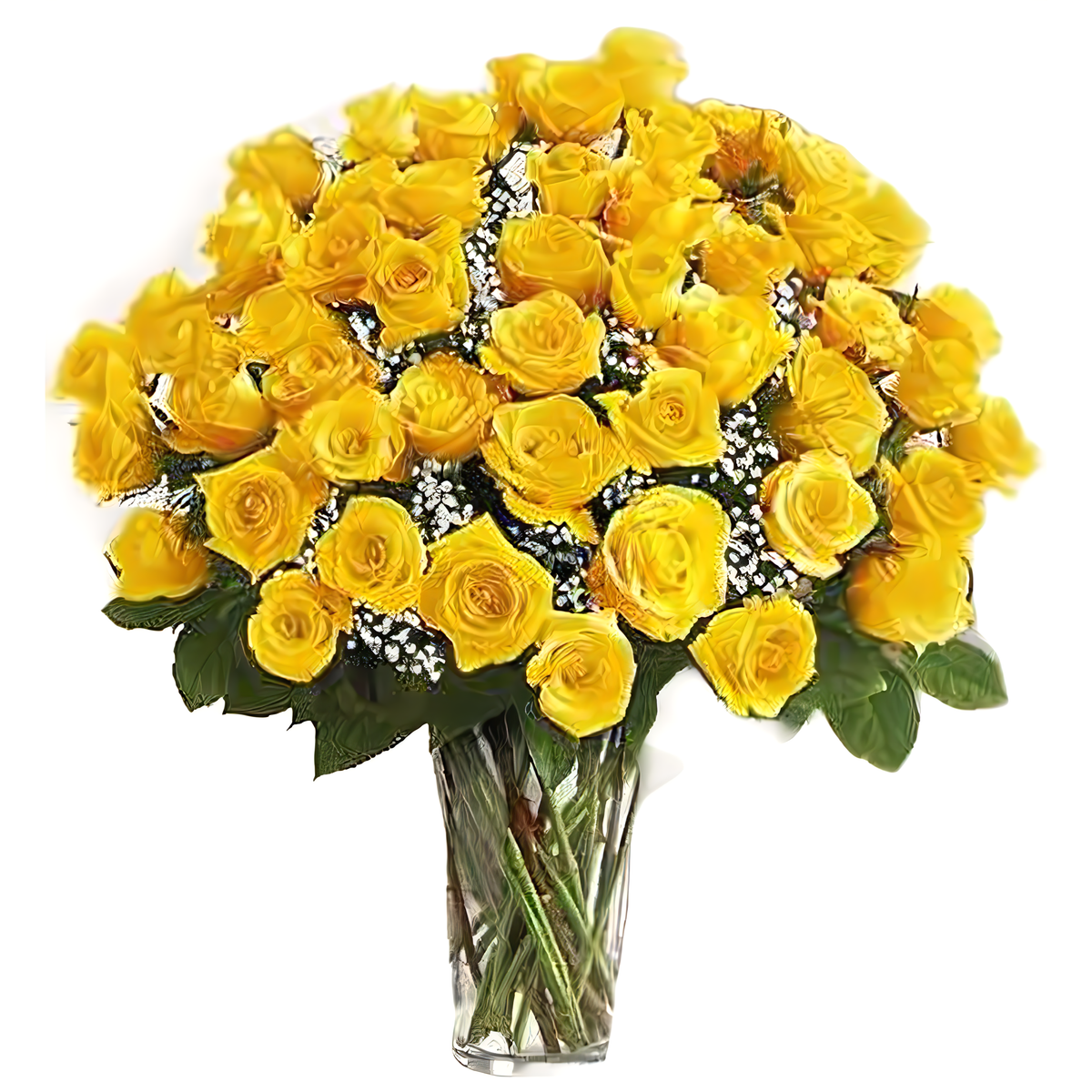 Long Stem 48 Yellow Roses - Roses