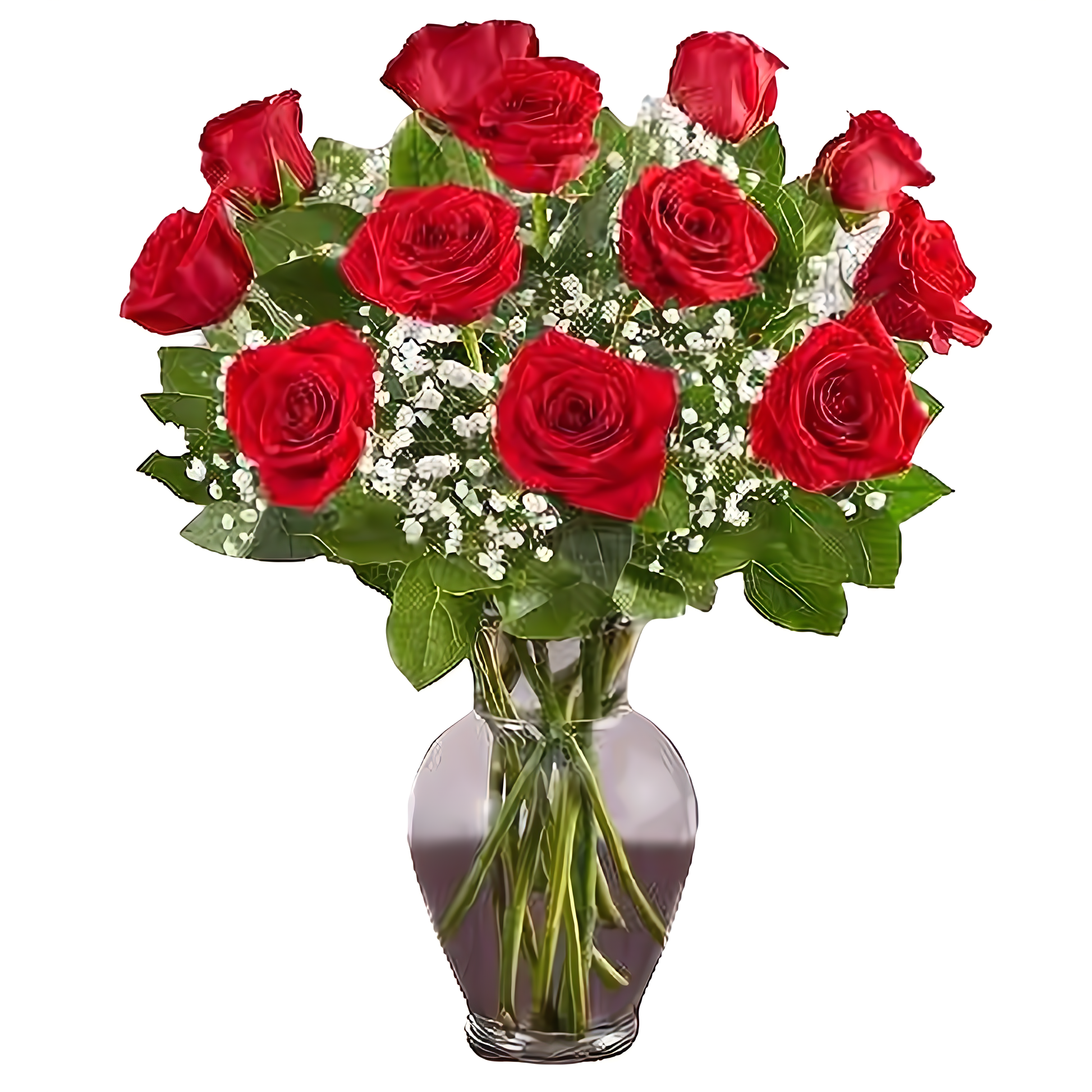 Premium Dozen Long Stem Red Roses - Roses