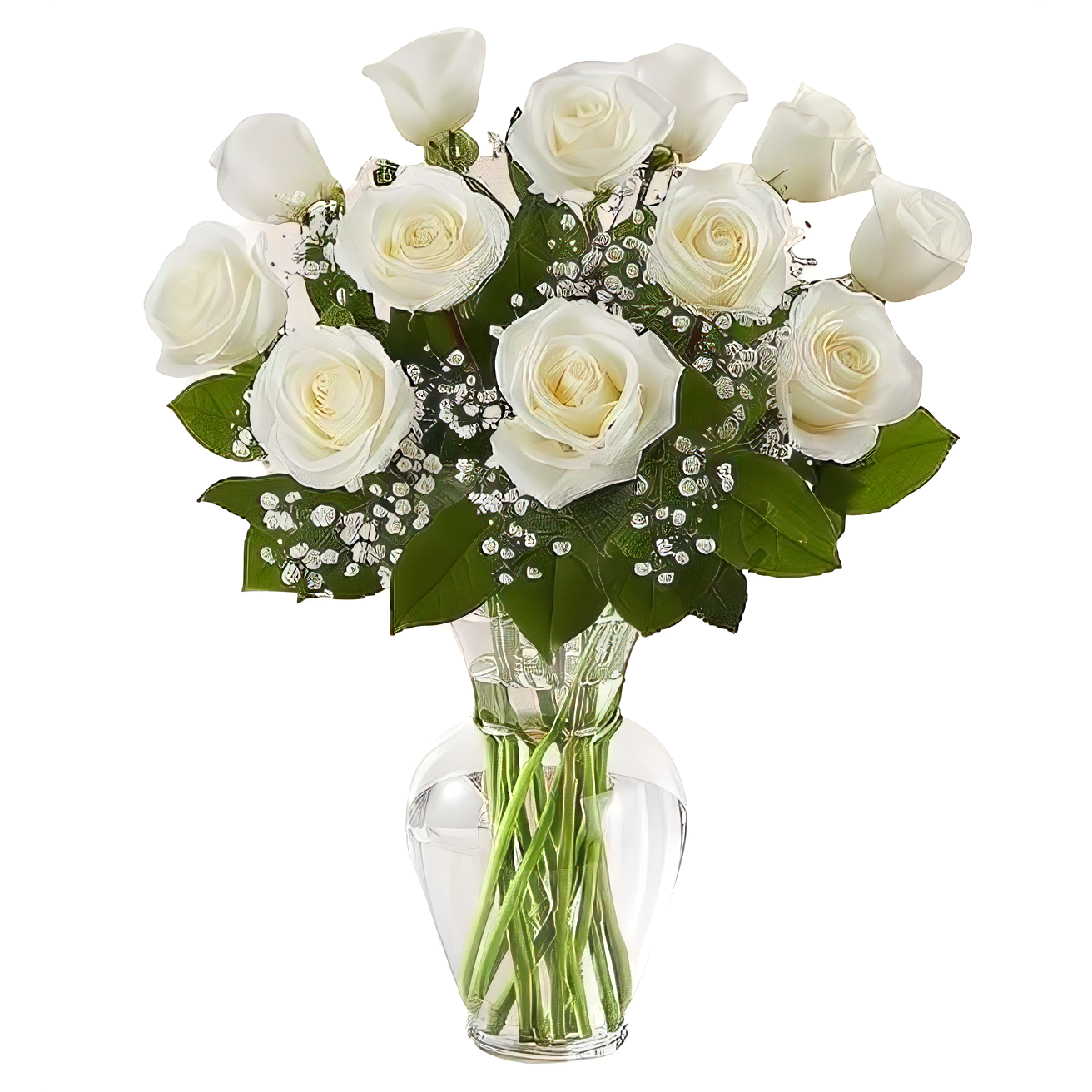 Premium Long Stem White Roses - Roses