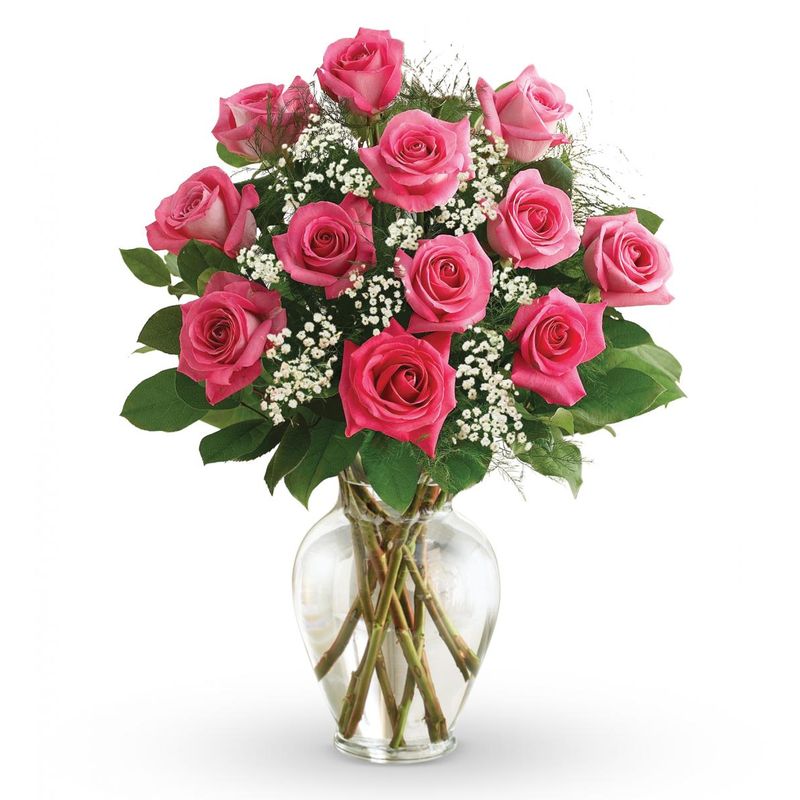Premium Long Stem Hot Pink Roses - Fresh Cut Flowers