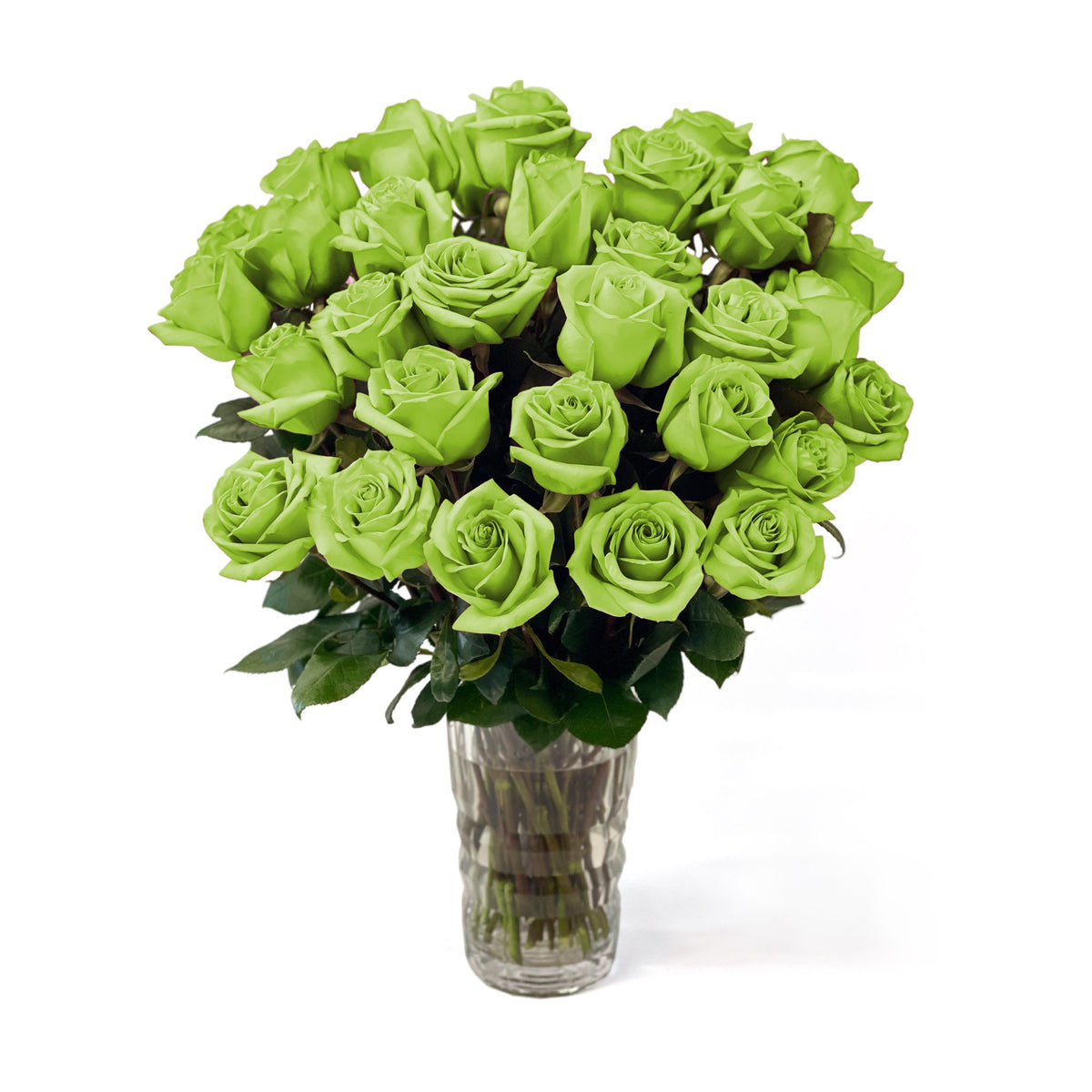 Fresh Roses in a Crystal Vase | Green - Roses