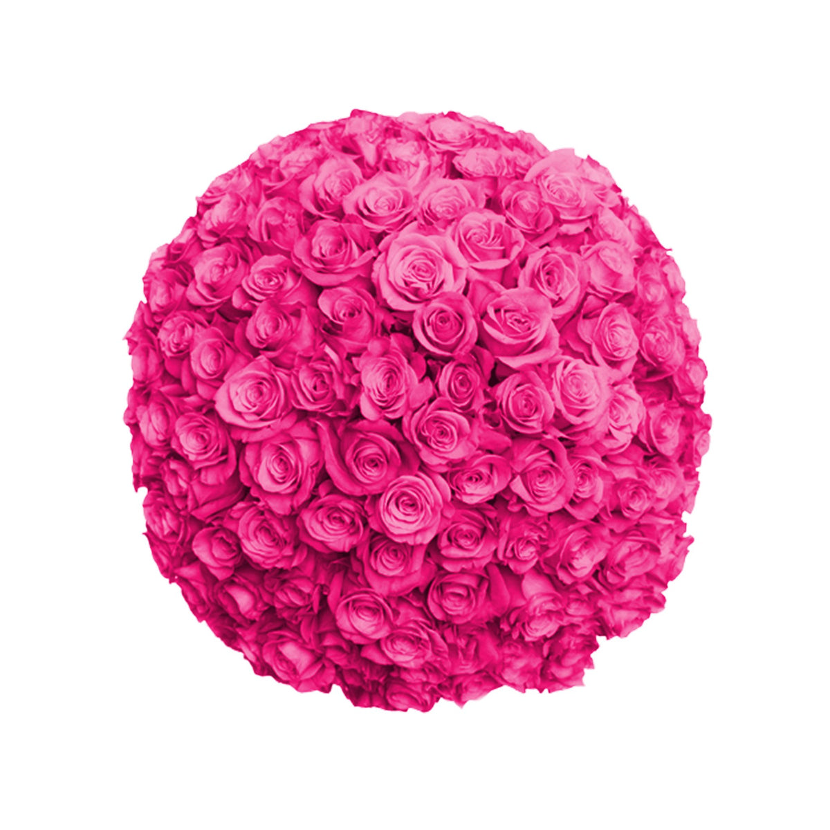 Fresh Roses in a Crystal Vase | Hot Pink - Roses
