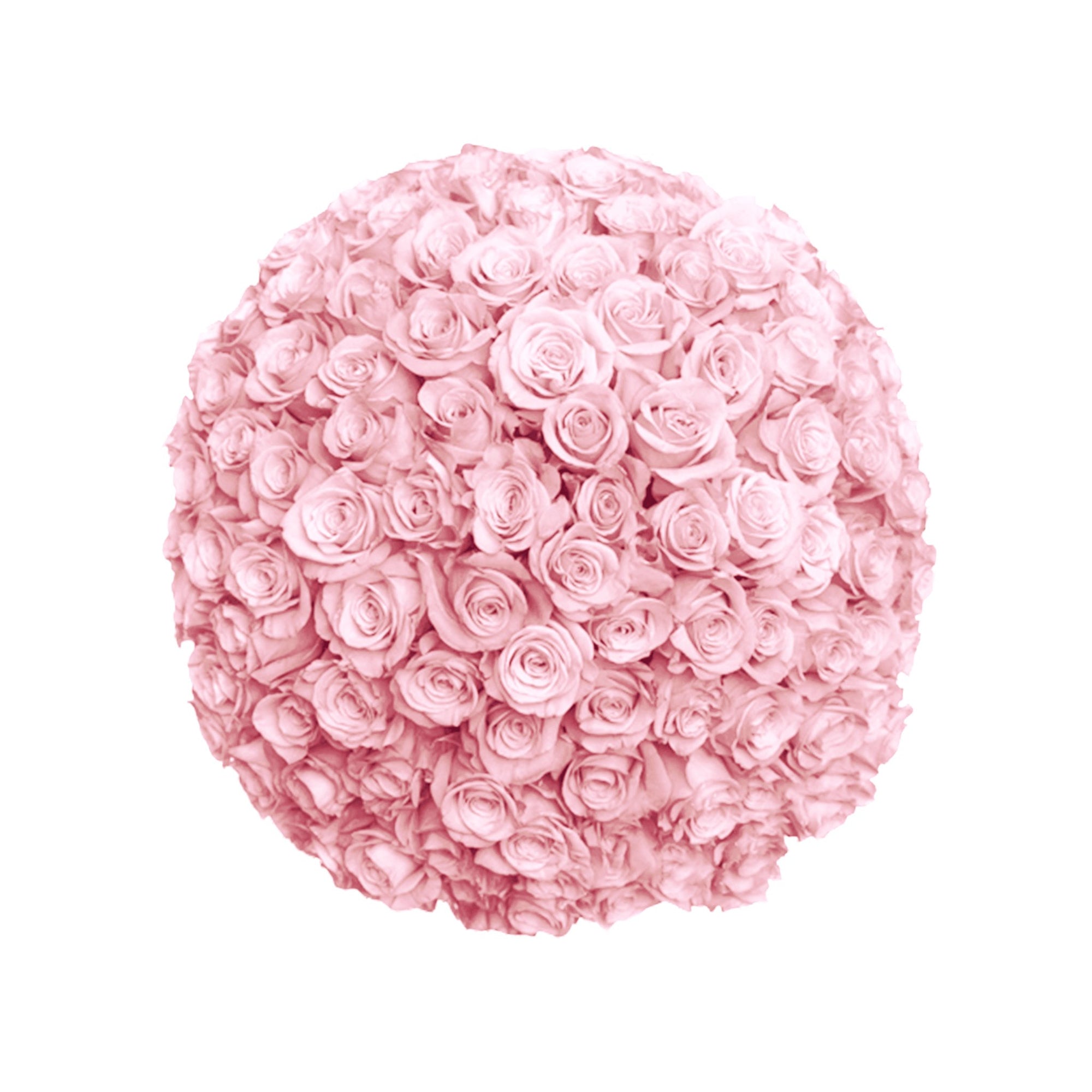 Fresh Roses in a Crystal Vase | Light Pink - 1 Dozen - Roses