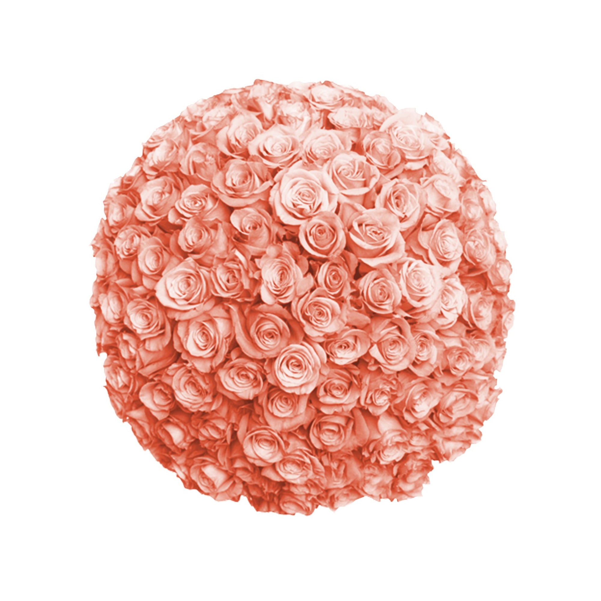 Fresh Roses in a Crystal Vase | Peach - 1 Dozen - Roses