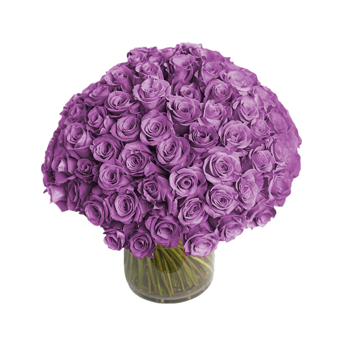 Fresh Roses in a Crystal Vase | Purple - 100 Roses - Roses