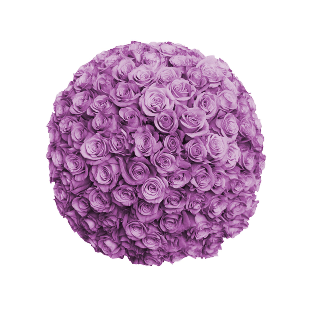 Fresh Roses in a Crystal Vase | Purple - Roses