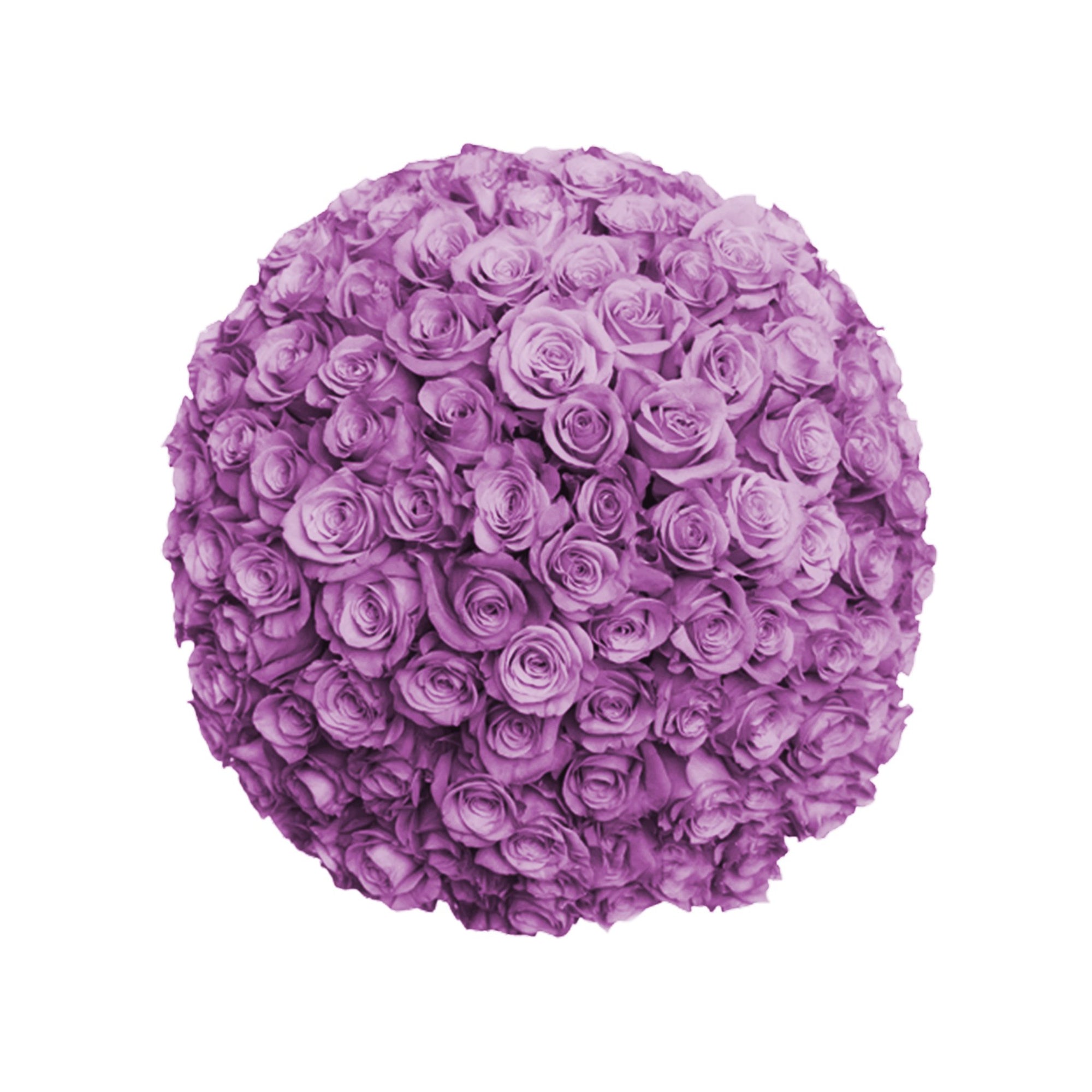 Fresh Roses in a Crystal Vase | Purple - 1 Dozen - Roses