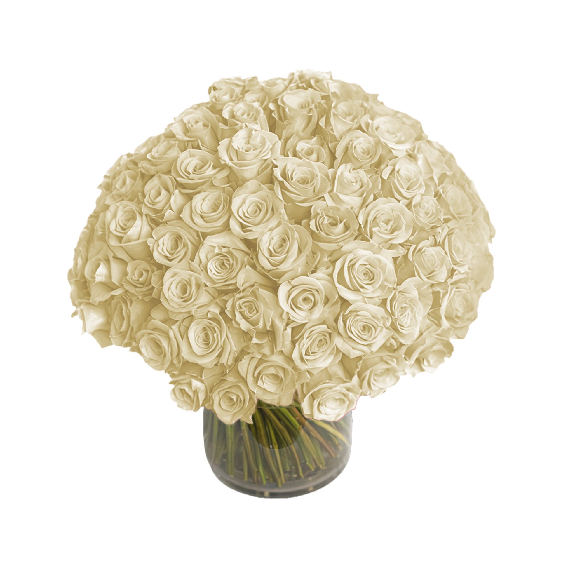 Fresh Roses in a Crystal Vase | White - 100 Roses - Roses