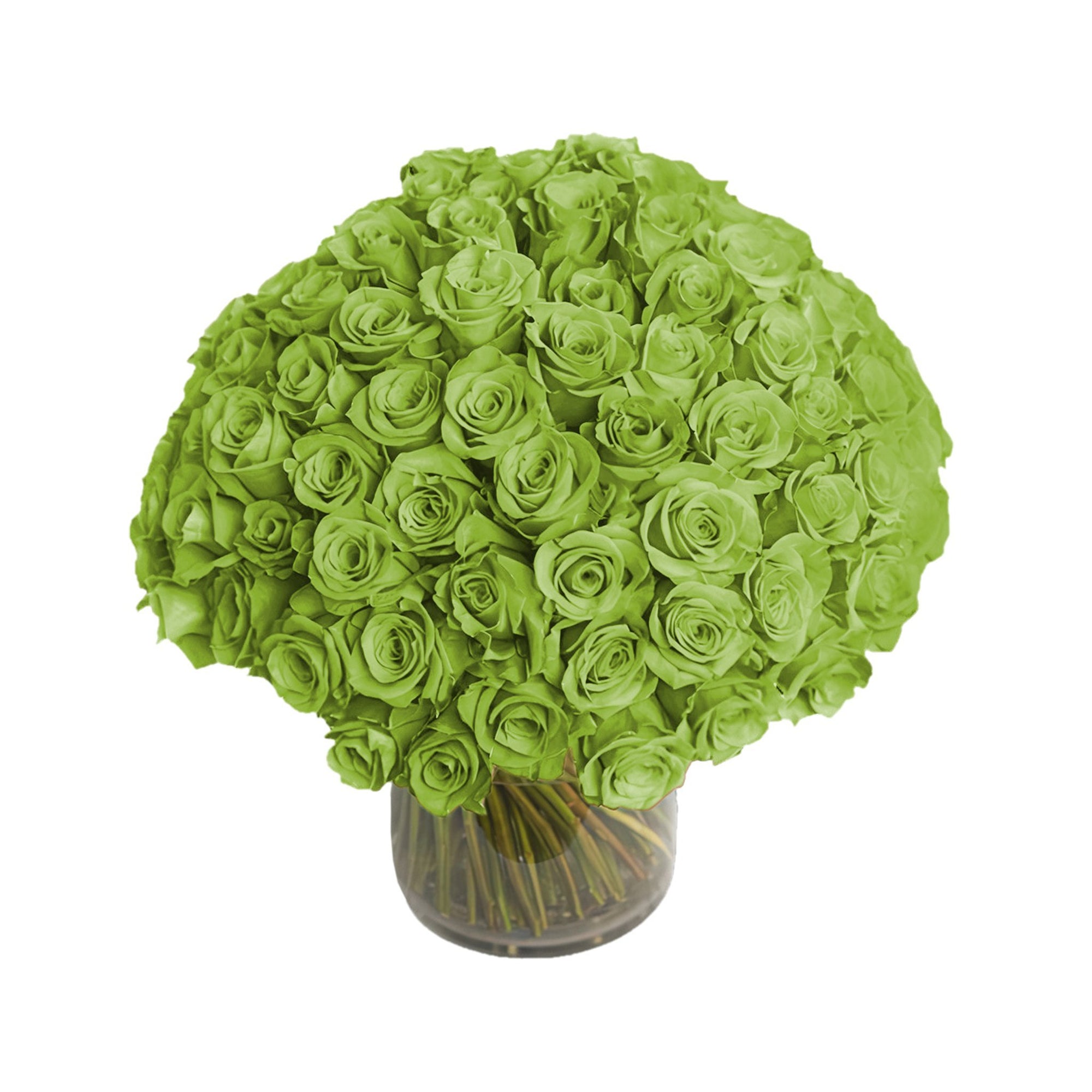 Fresh Roses in a Vase | 100 Green Roses - Roses