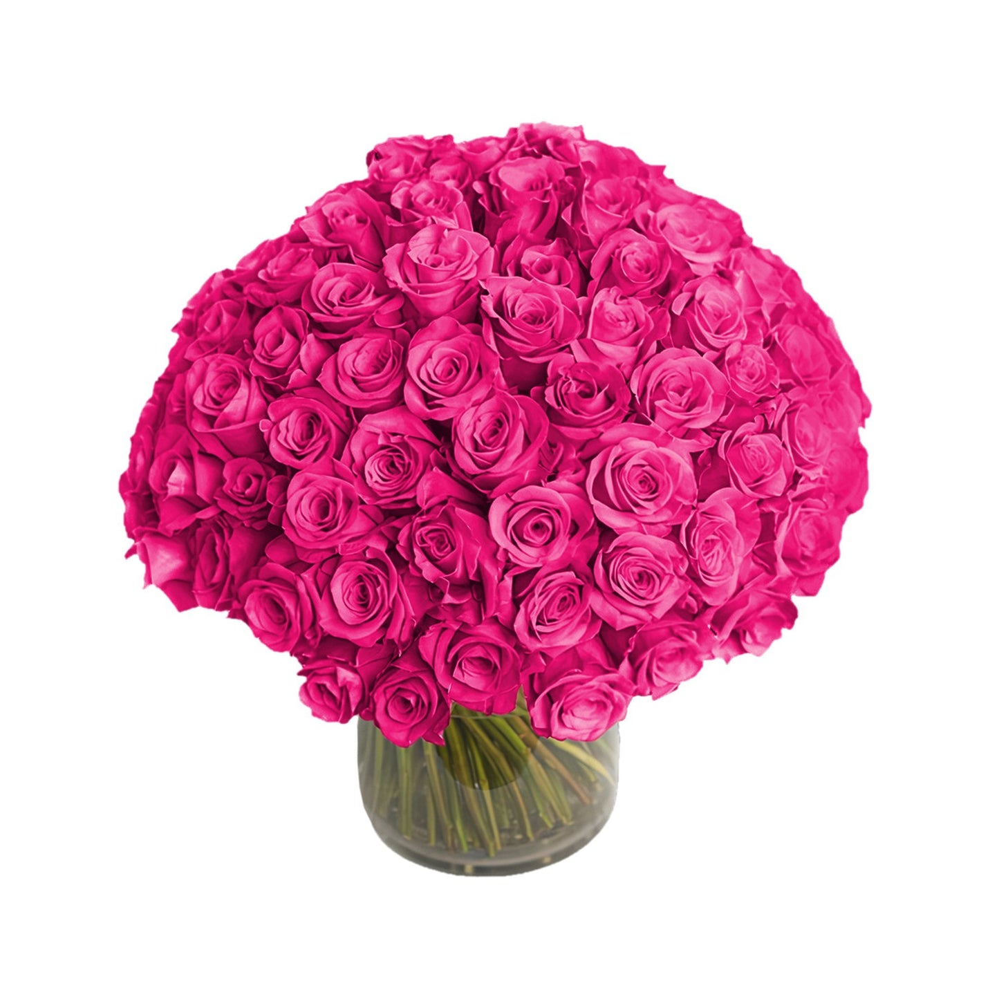 Fresh Roses in a Vase | 100 Hot Pink Roses - Roses