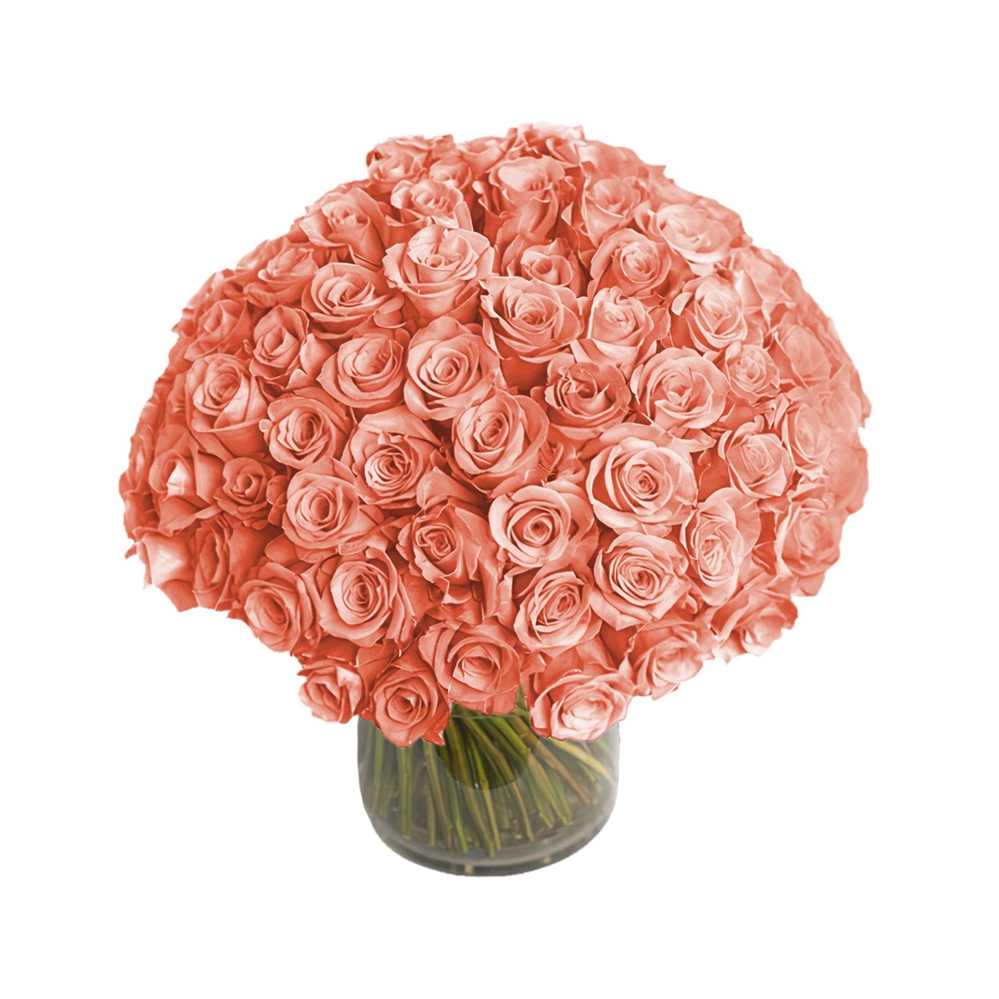 Fresh Roses in a Vase | 100 Peach Roses - Roses