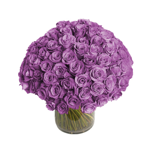 Fresh Roses in a Vase | 100 Purple Roses - Roses