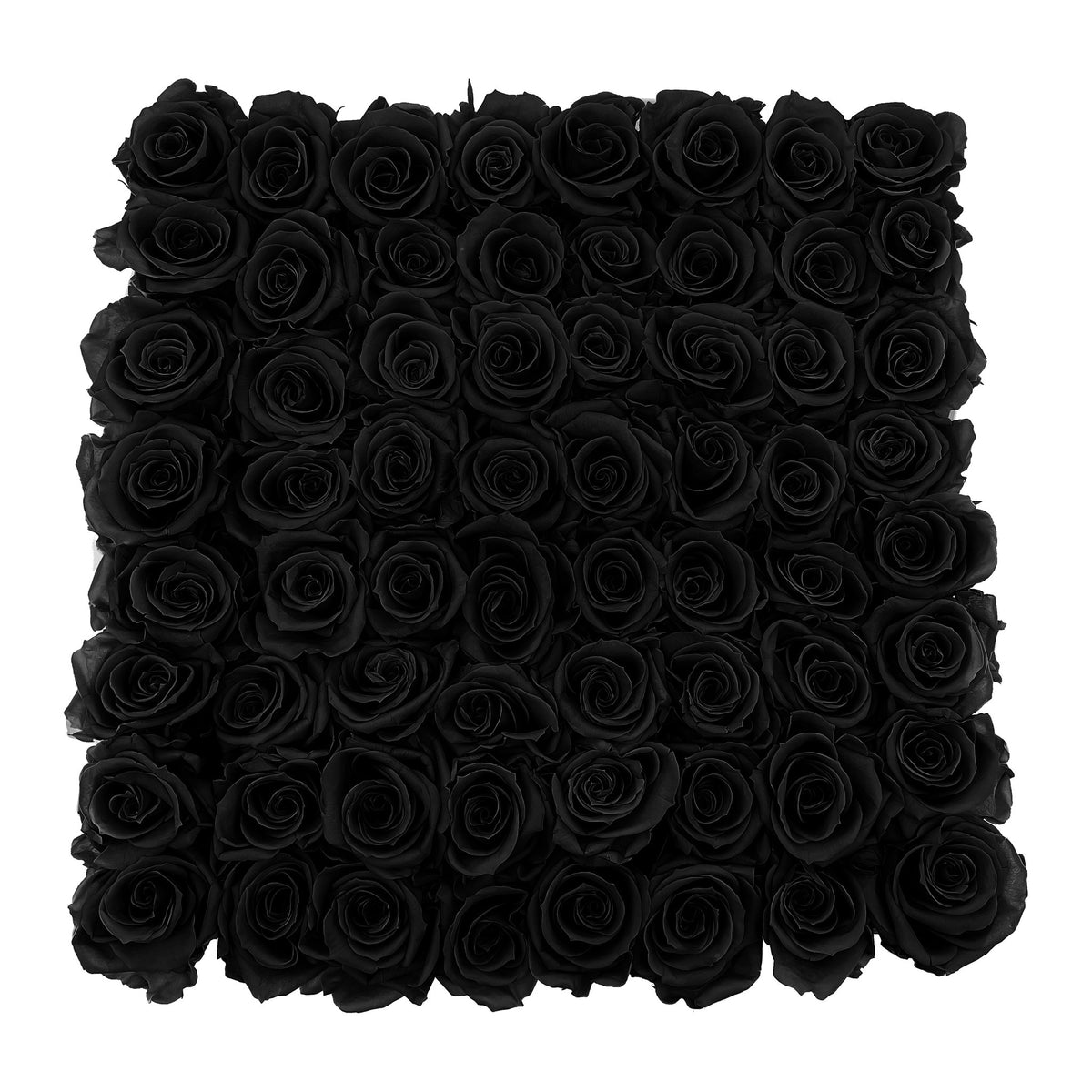 Preserved Roses Large Box | Black - Roses