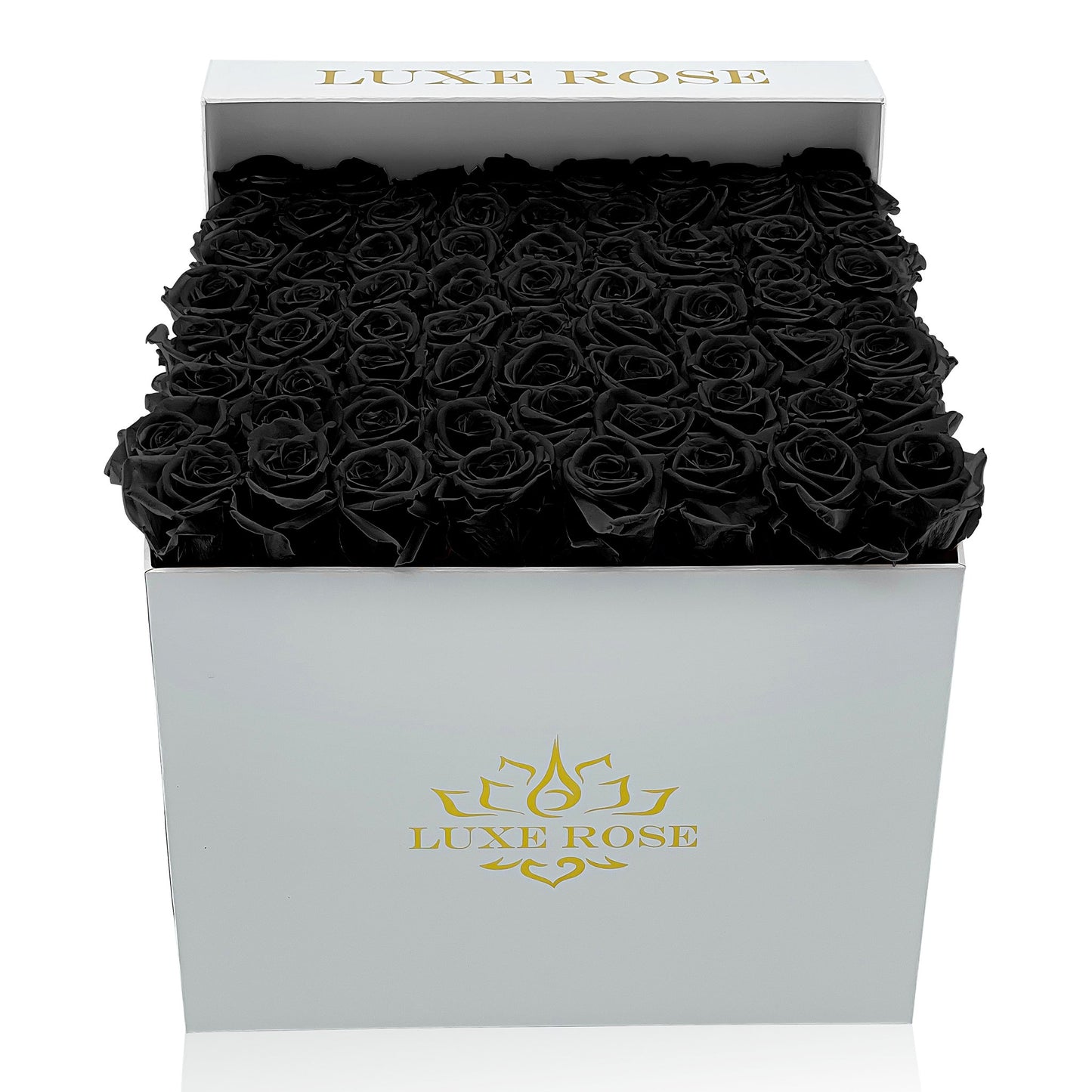 Preserved Roses Large Box | Black - White - Roses