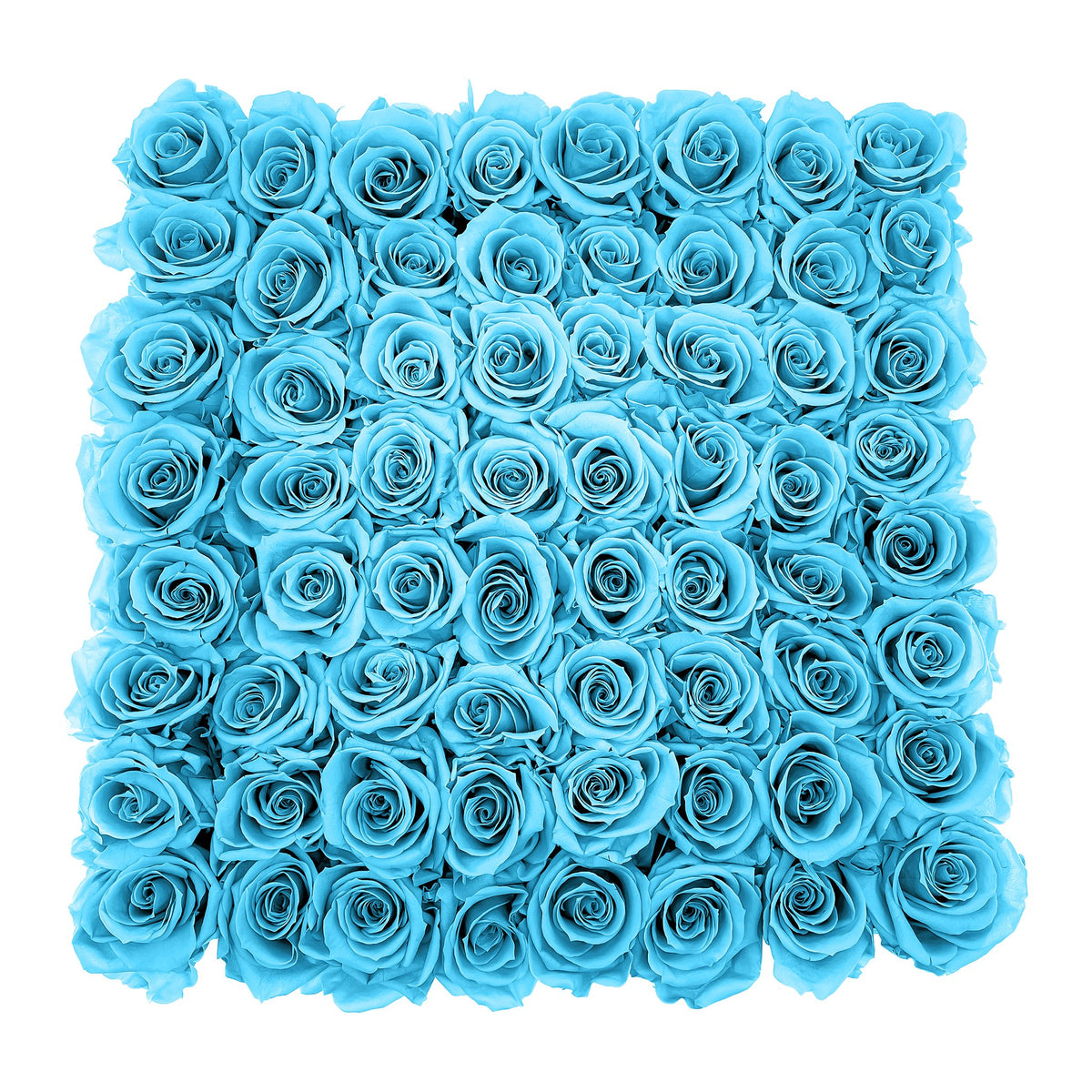 Preserved Roses Large Box | Bright Turquoise - Roses
