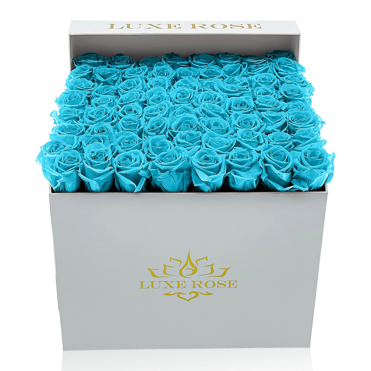 Preserved Roses Large Box | Bright Turquoise - White - Roses
