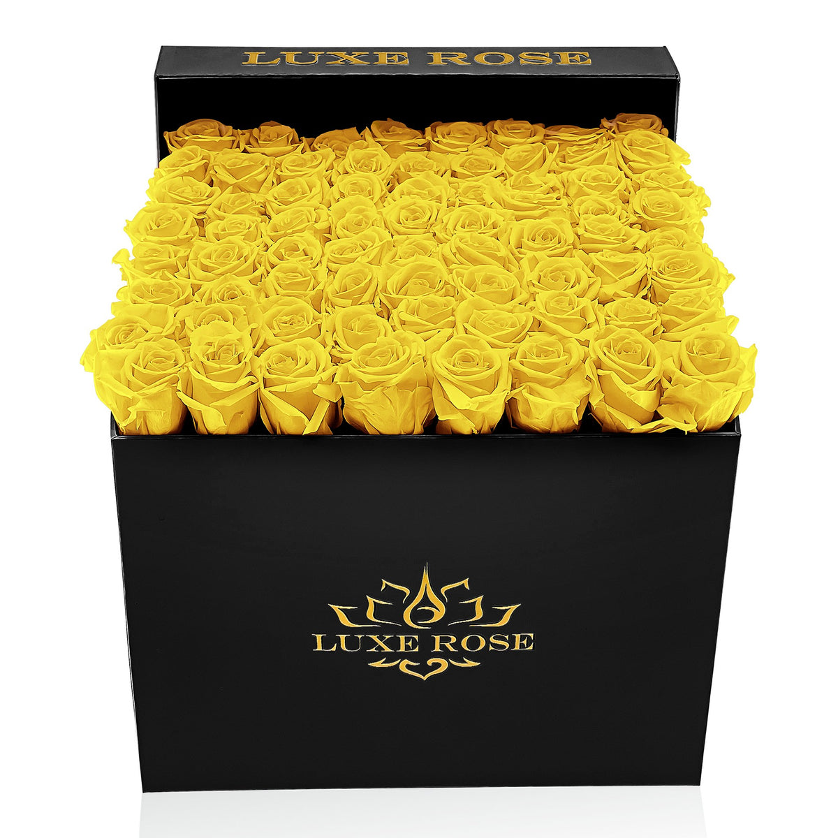 Preserved Roses Large Box | Bright Yellow - Black - Roses