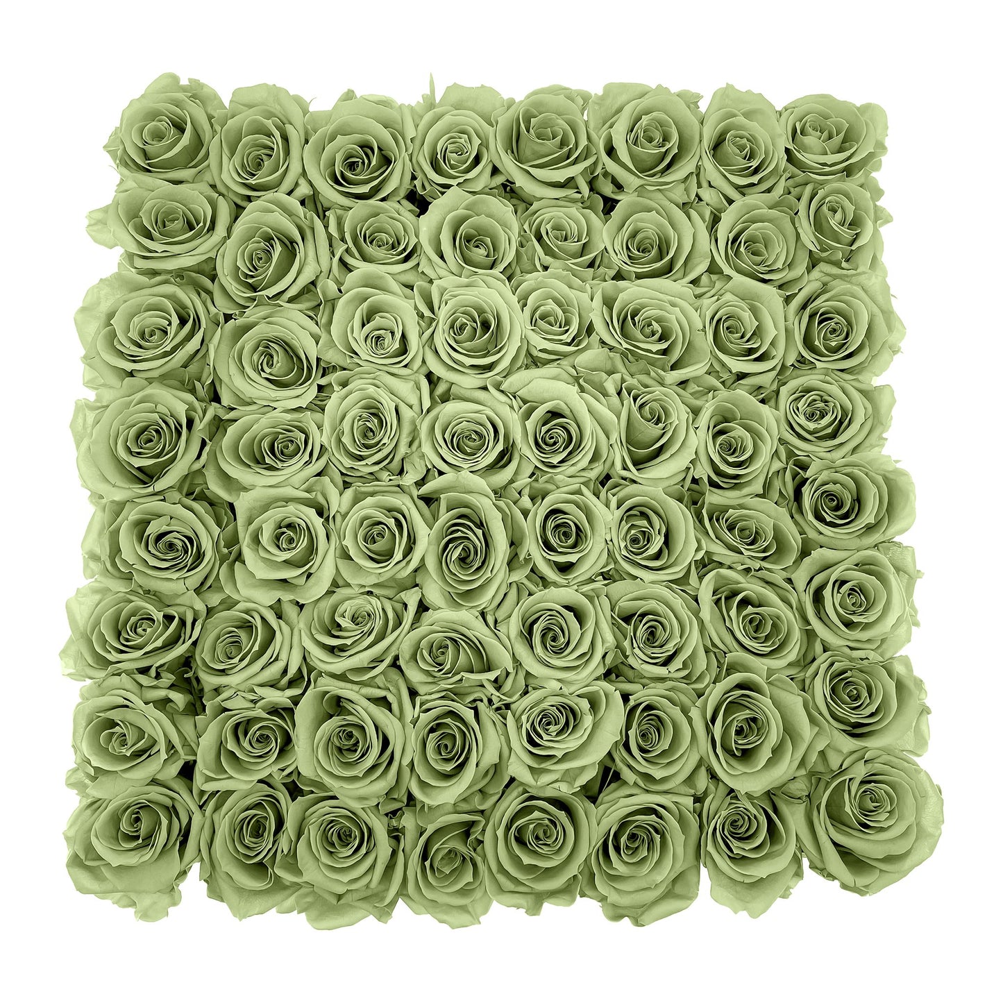 Preserved Roses Large Box | Green - Roses