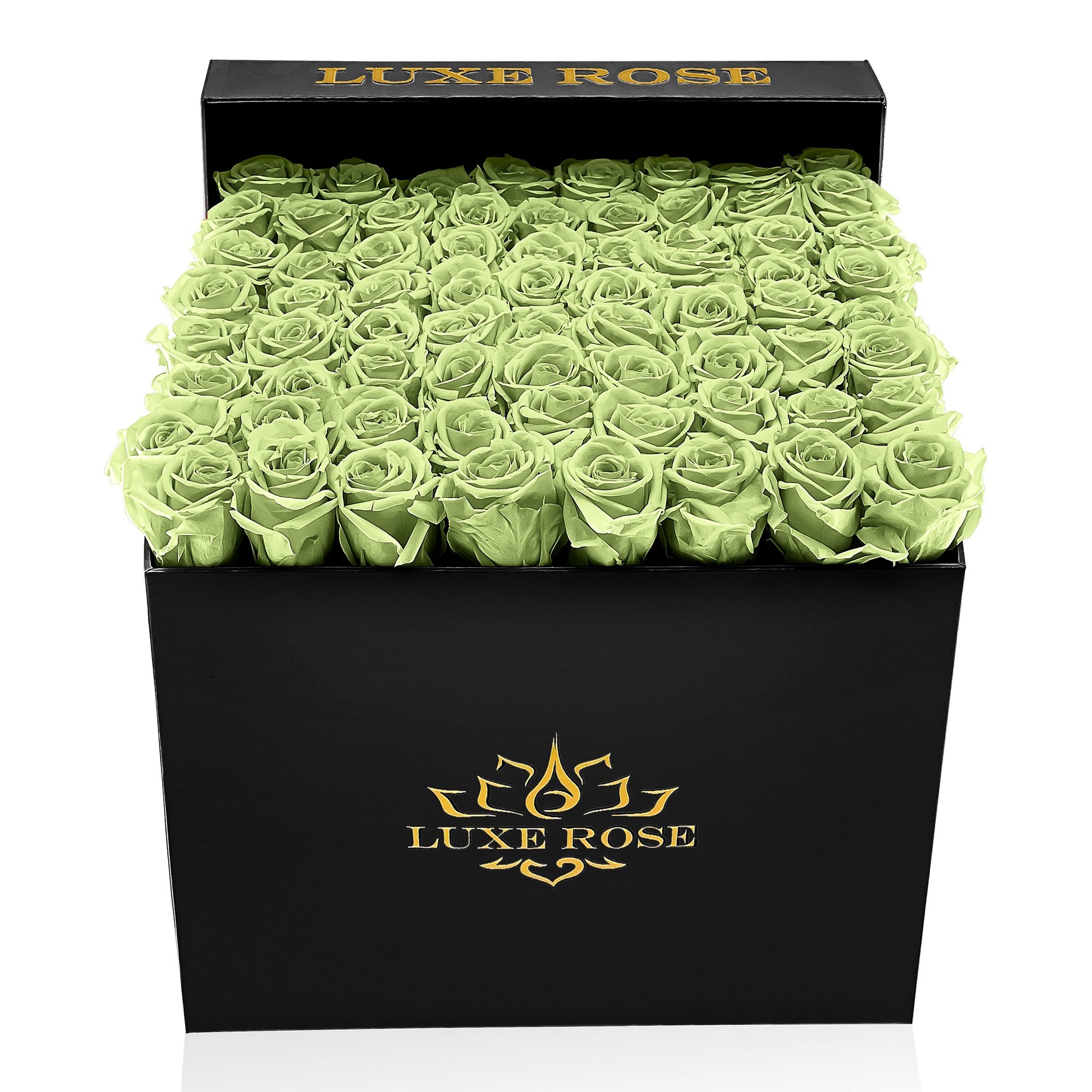 Preserved Roses Large Box | Green - White - Roses