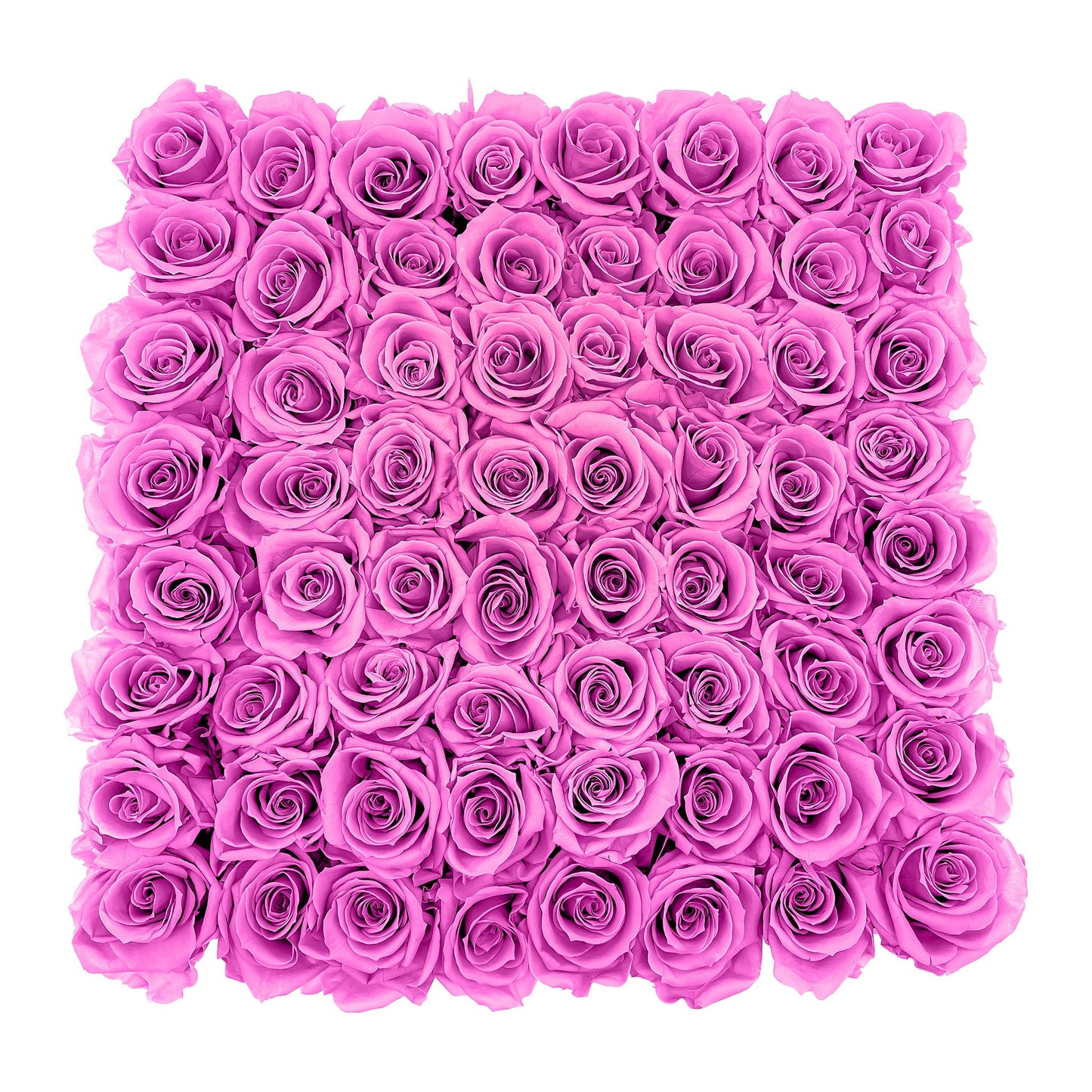 Preserved Roses Large Box | Hot Pink - Roses
