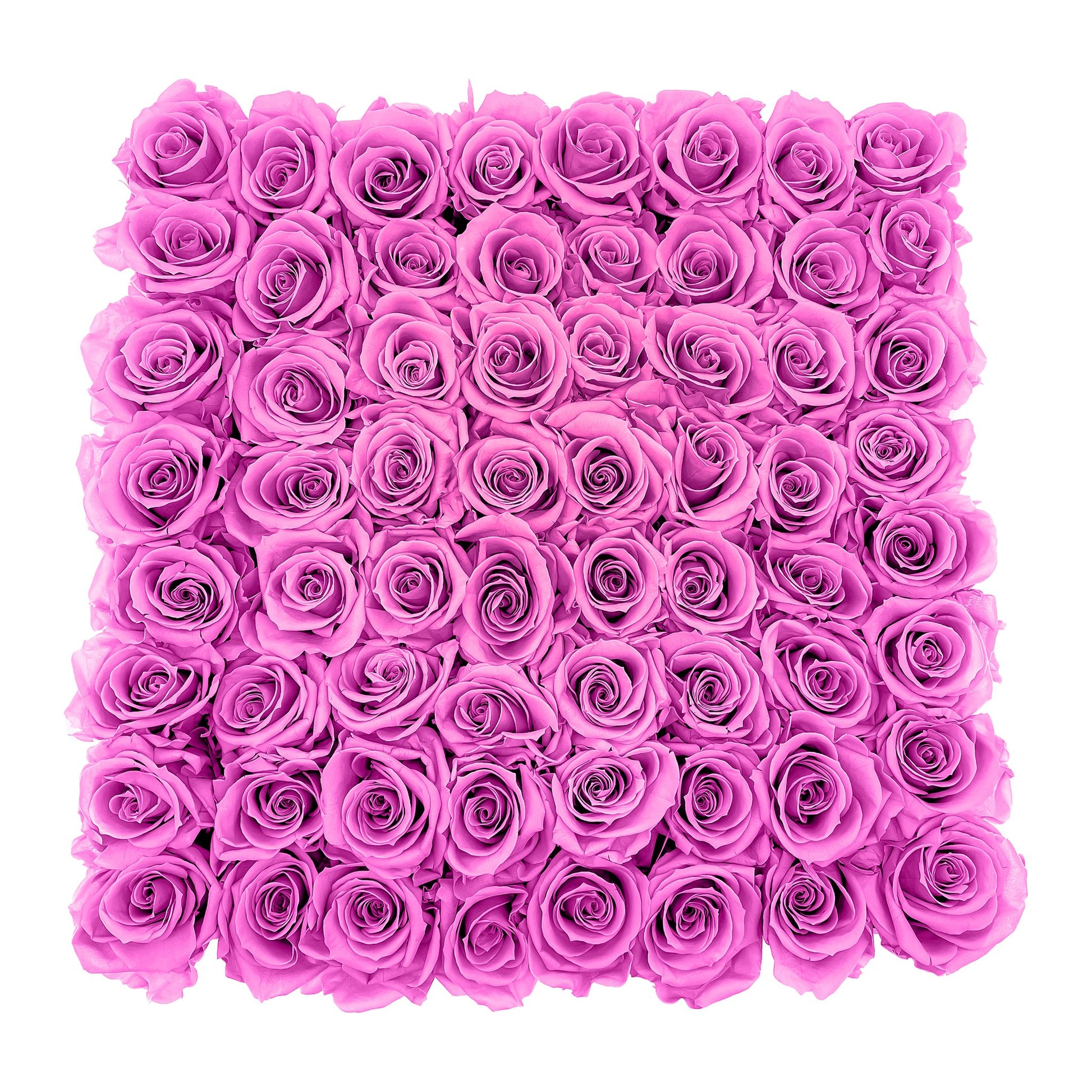 Preserved Roses Large Box | Hot Pink - Roses