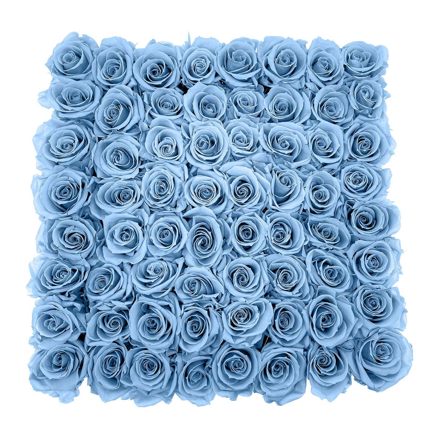 Preserved Roses Large Box | Light Blue - Roses