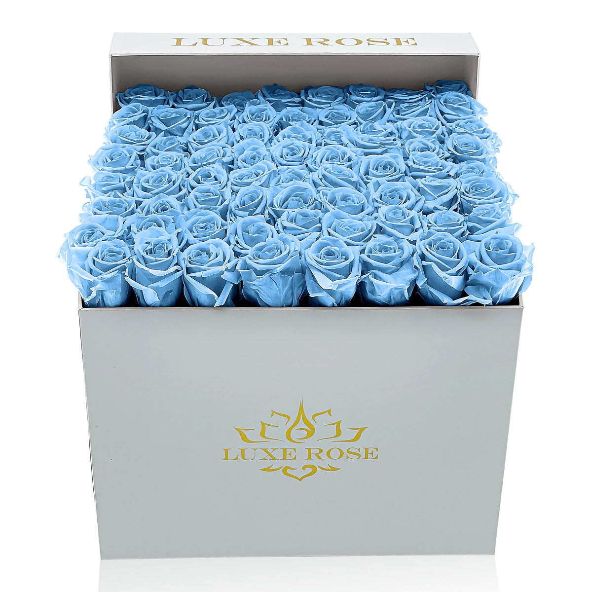 Preserved Roses Large Box | Light Blue - White - Roses