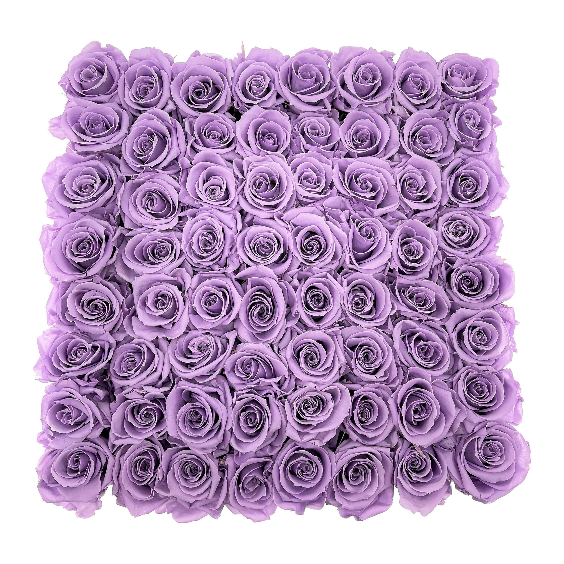 Preserved Roses Large Box | Lilac - Roses