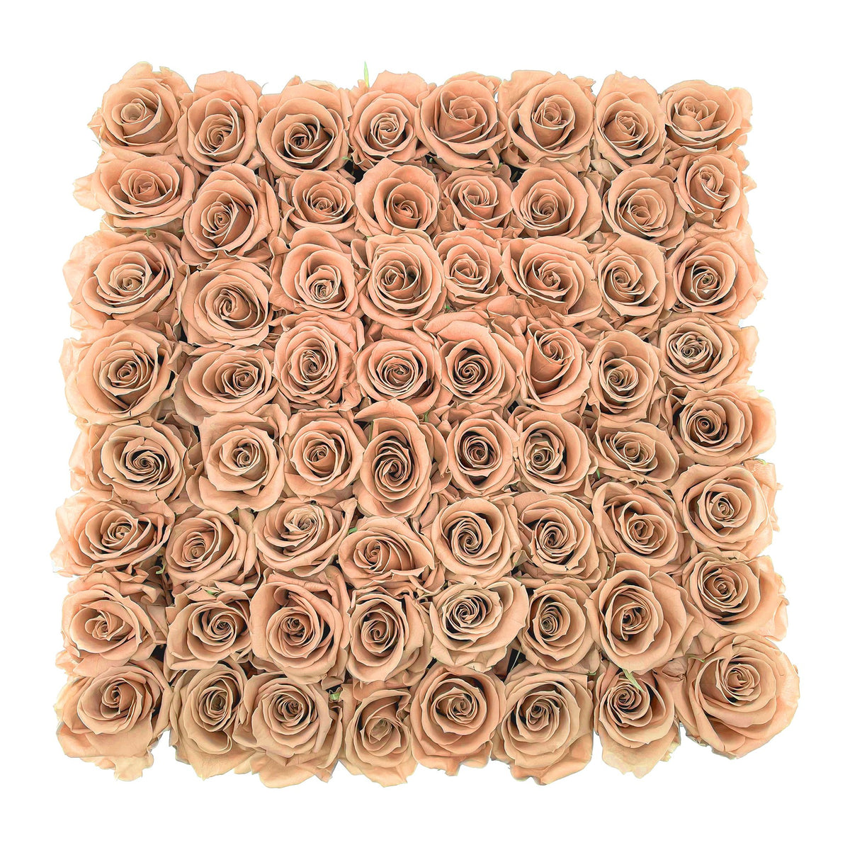 Preserved Roses Large Box | Peach - Roses