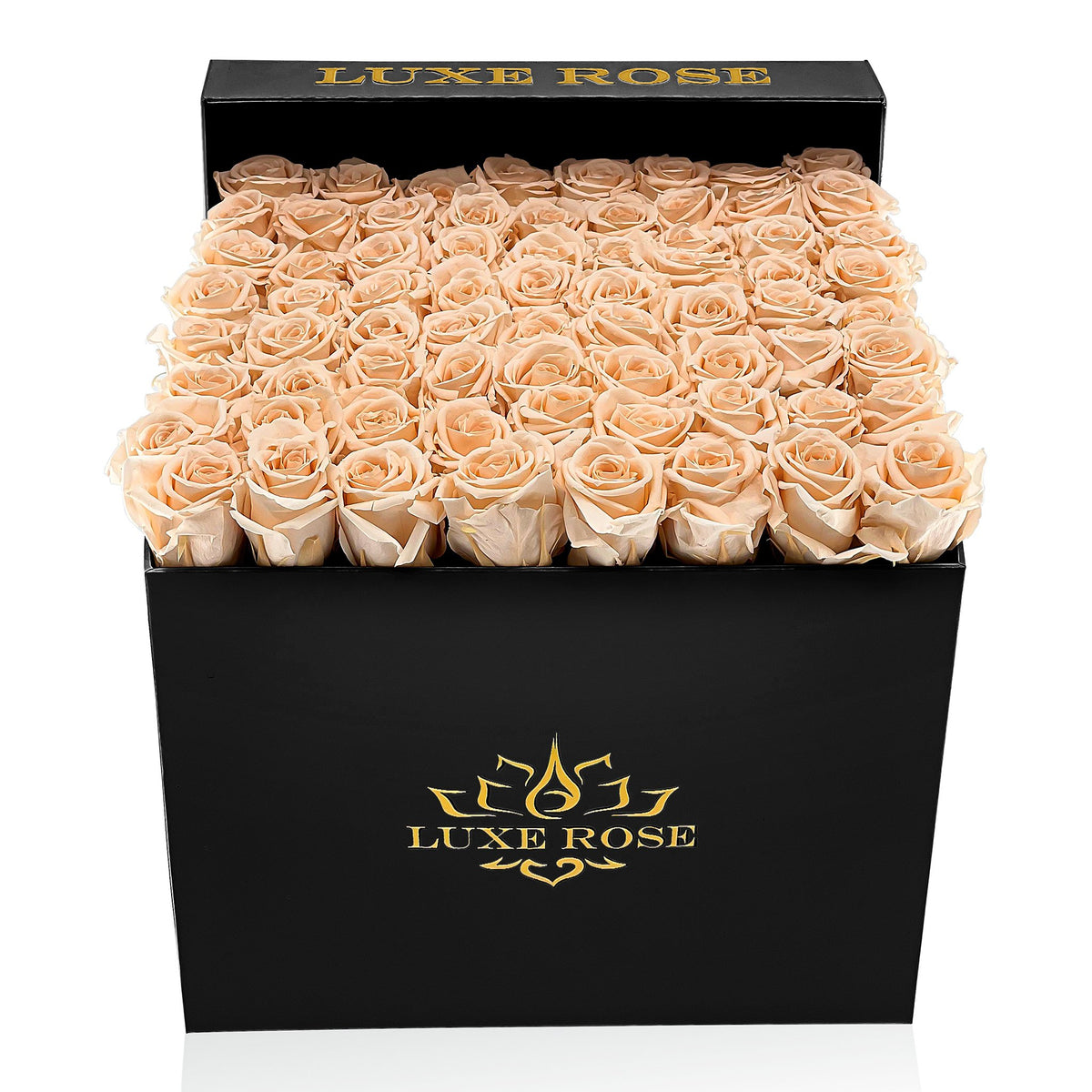 Preserved Roses Large Box | Peach - Black - Roses