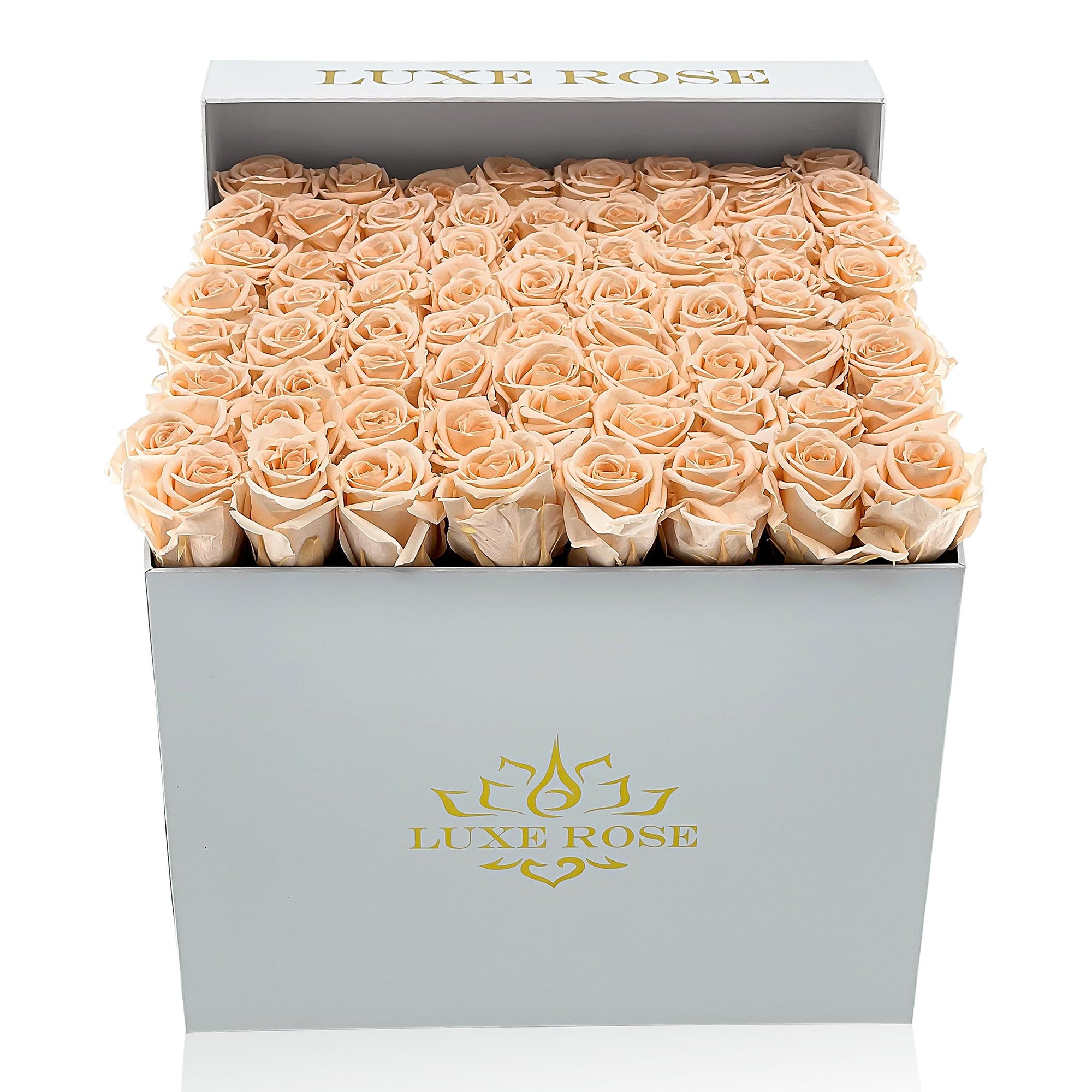Preserved Roses Large Box | Peach - White - Roses