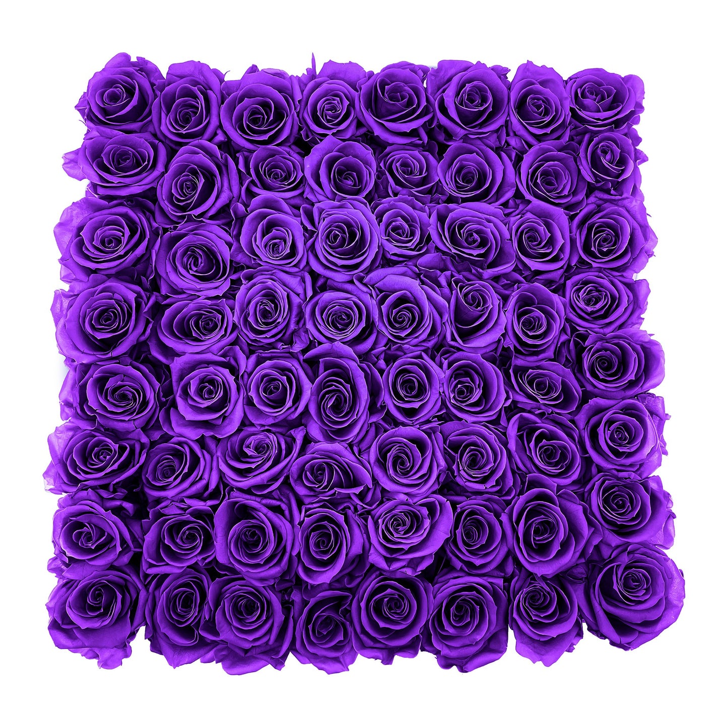 Preserved Roses Large Box | Purple - Roses