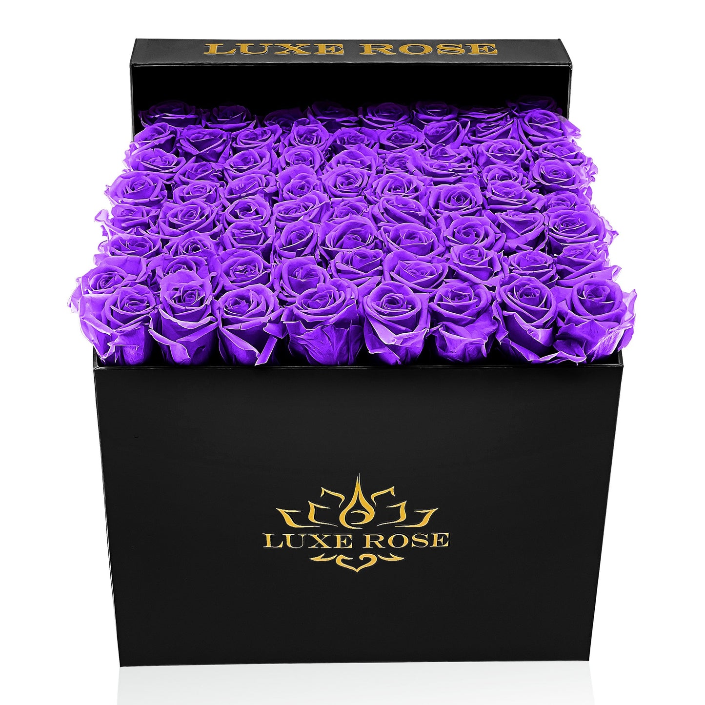 Preserved Roses Large Box | Purple - Black - Roses