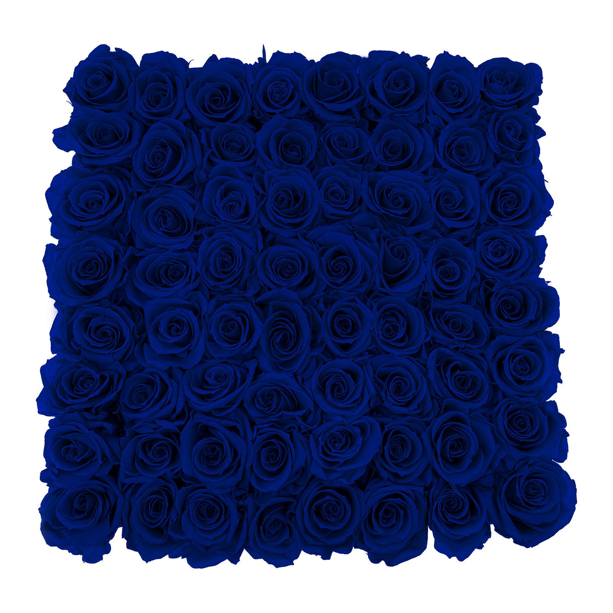 Preserved Roses Large Box | Royal Blue - Roses