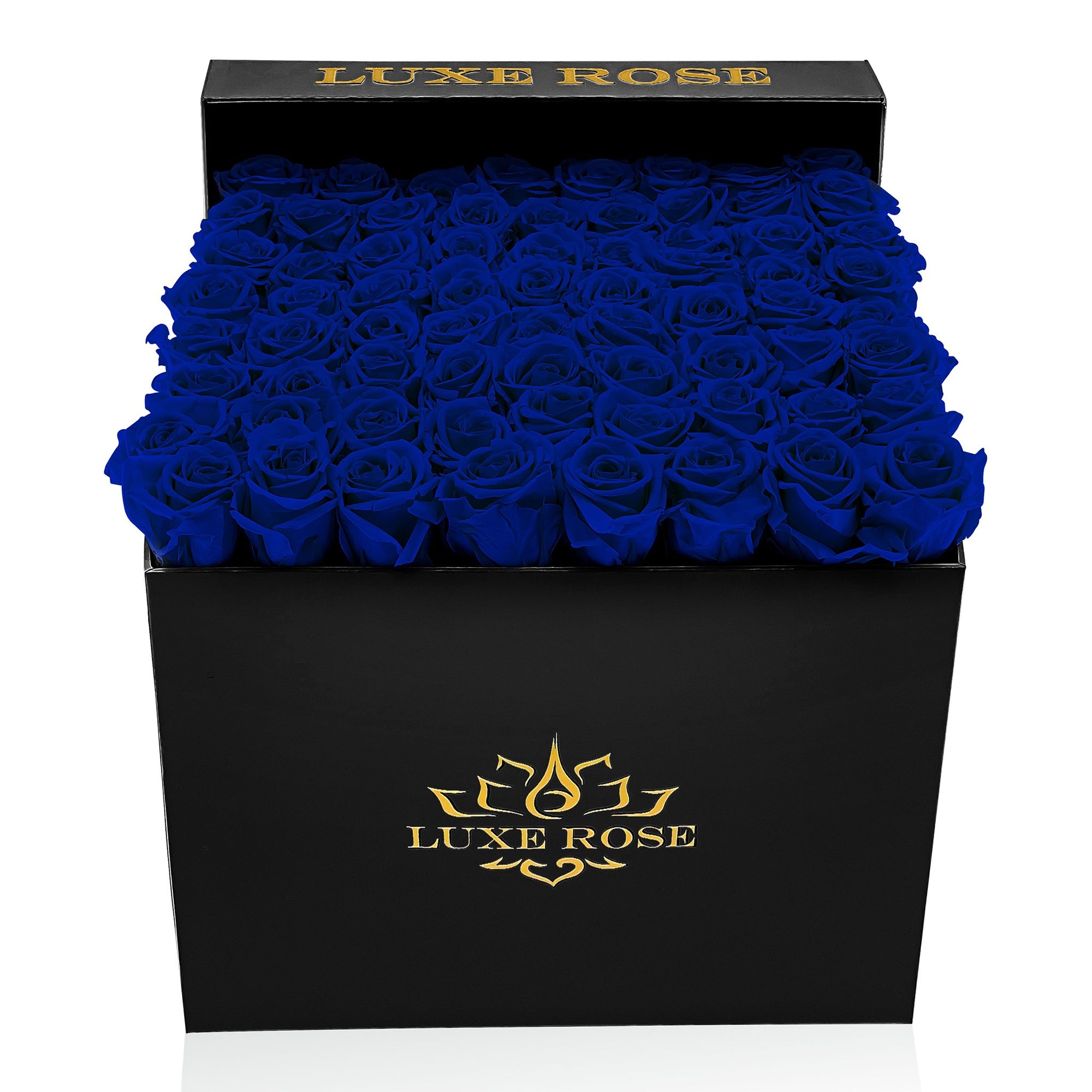 Preserved Roses Large Box | Royal Blue - White - Roses