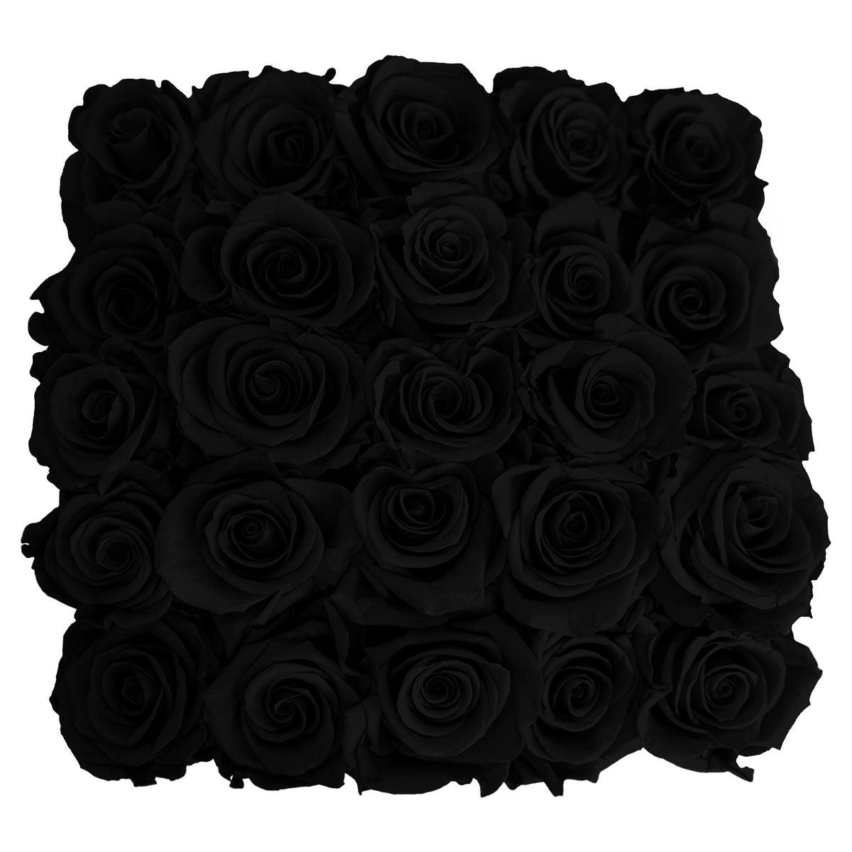 Preserved Roses Small Box | Black - Roses